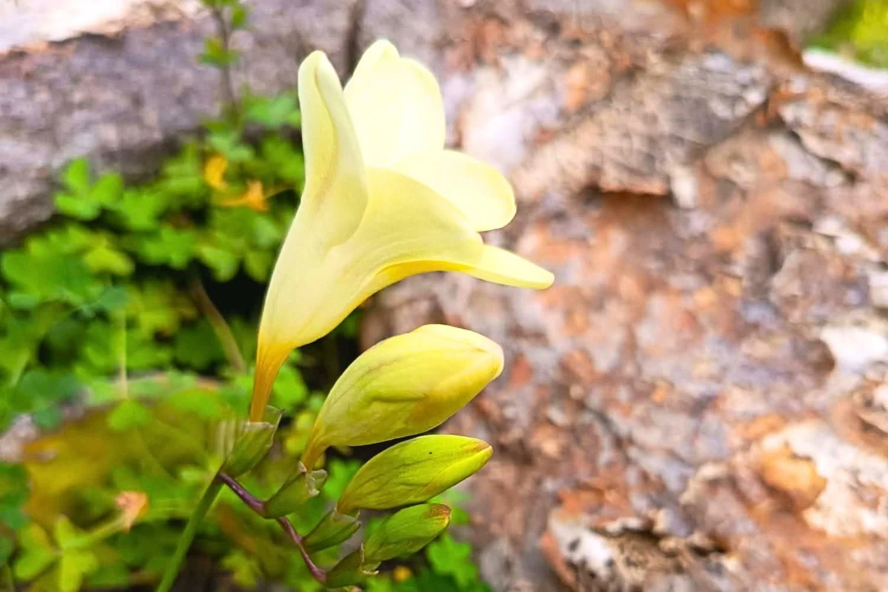 CONFINI PROFESSIONALI