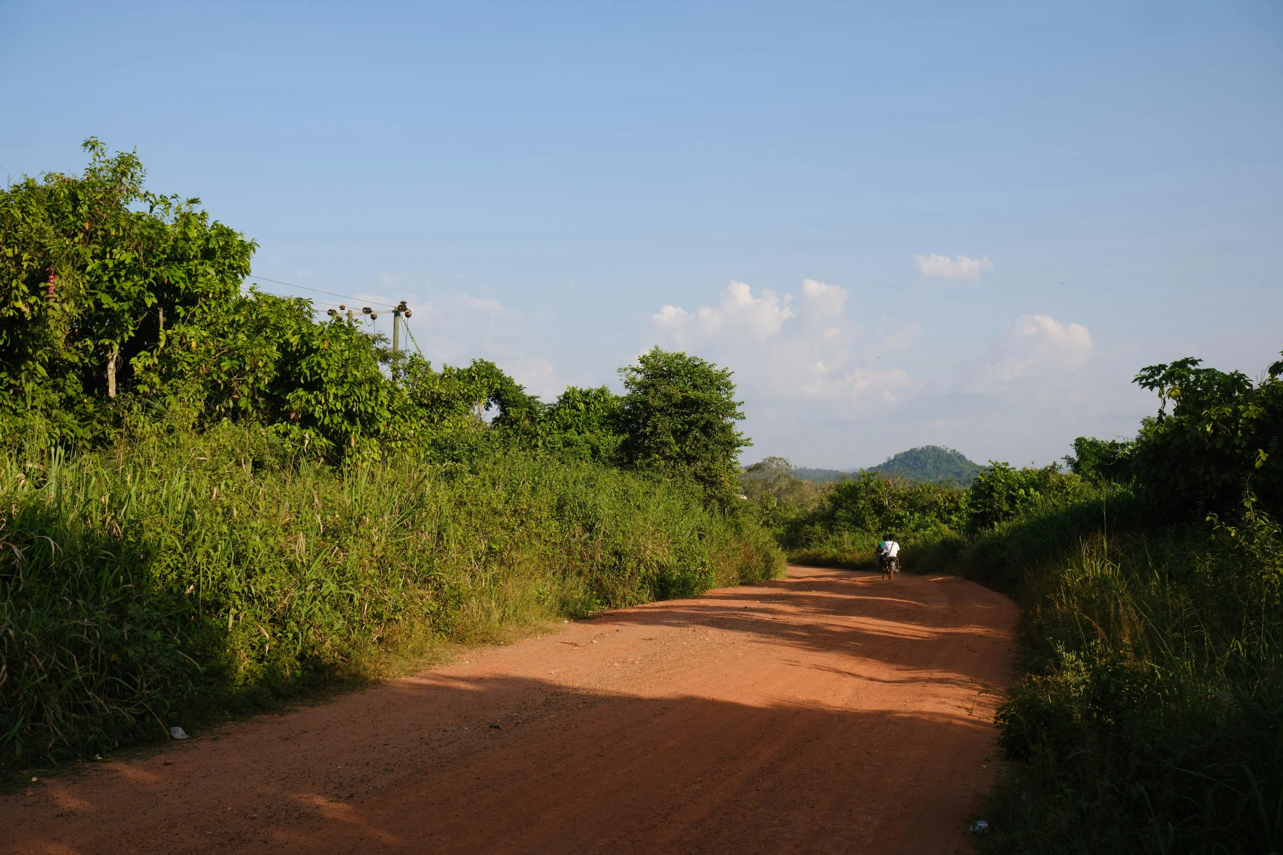 The Dirt Beneath Their Nails, by Marvin Garbeh Davis, Sr.