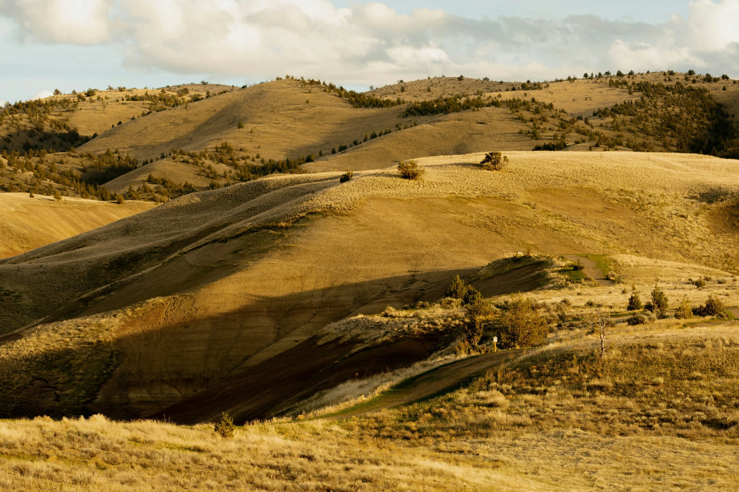 Our Survey of Western Dirt, by David DeGusta