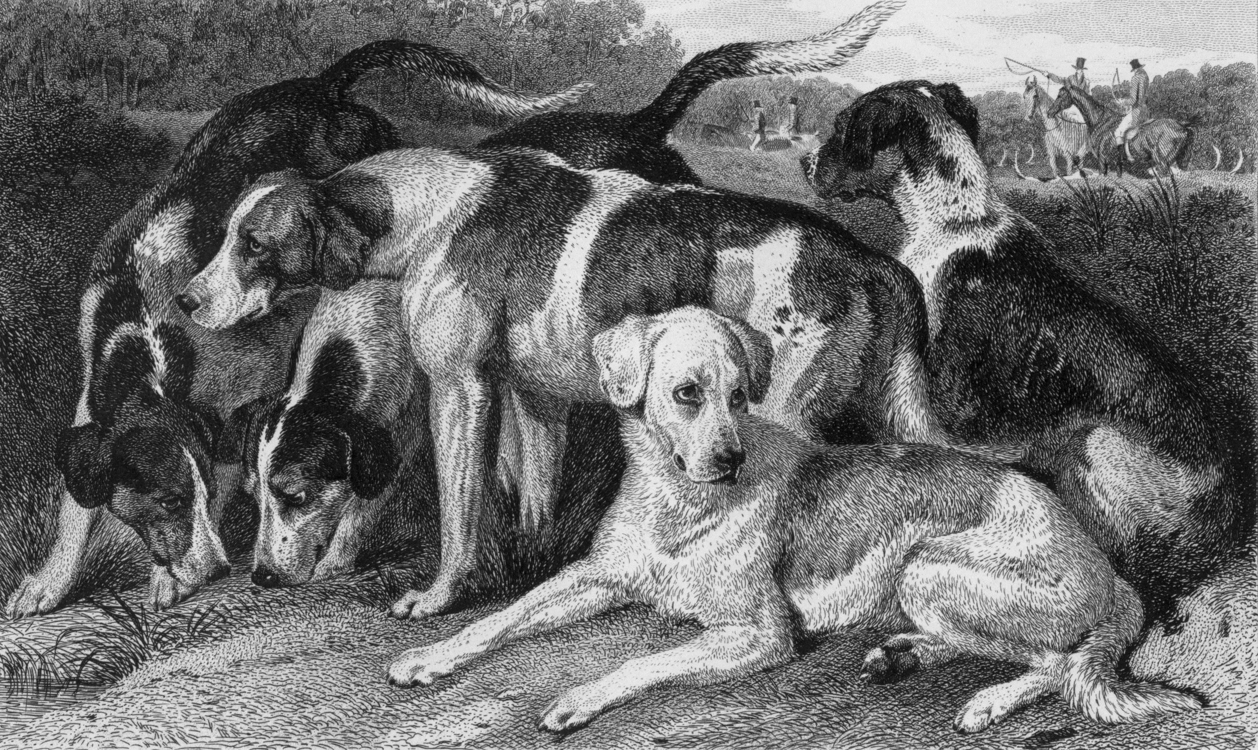 In Defense of the Dogs, by Margo Moceyunas