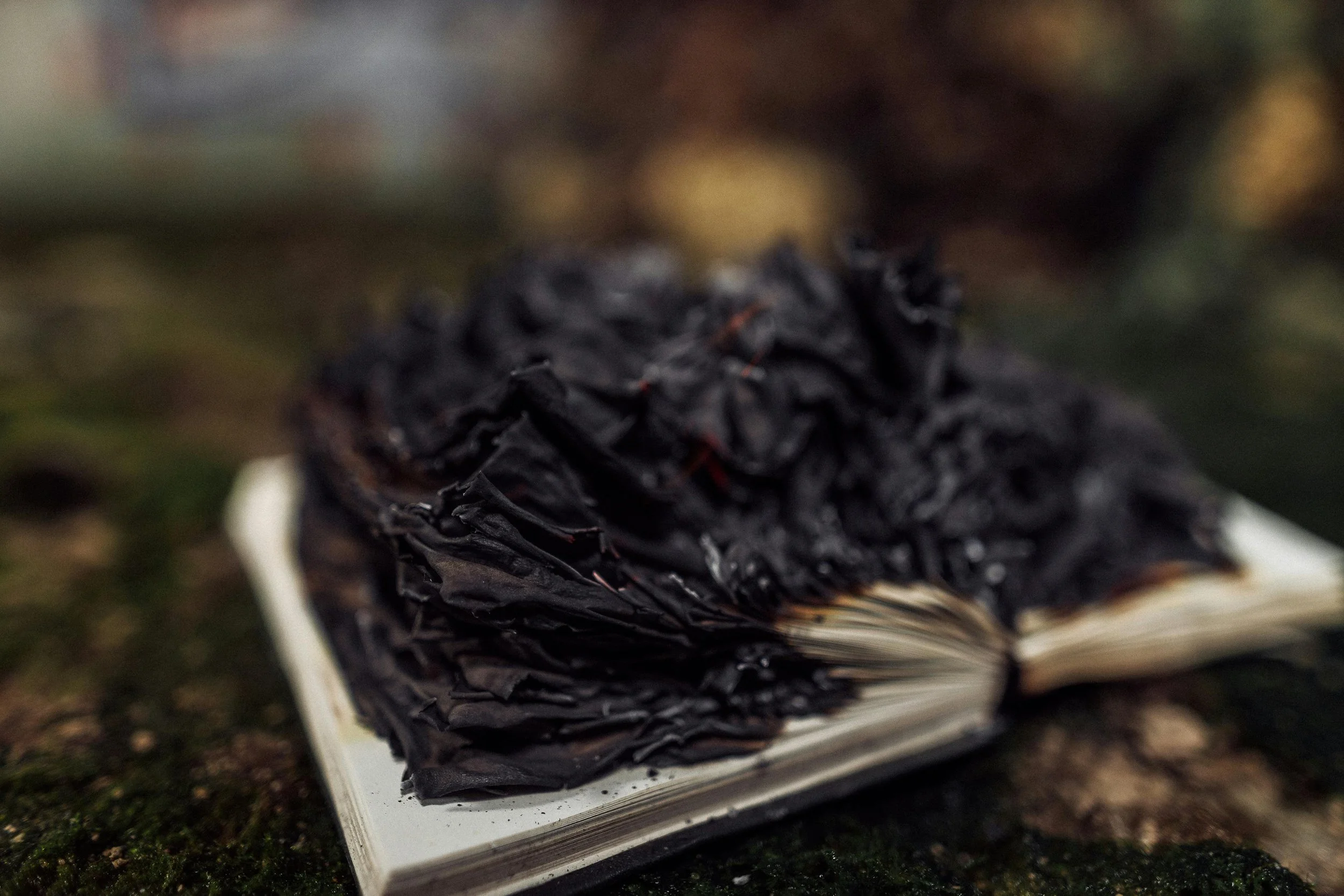 Online Issue: The Aftermath