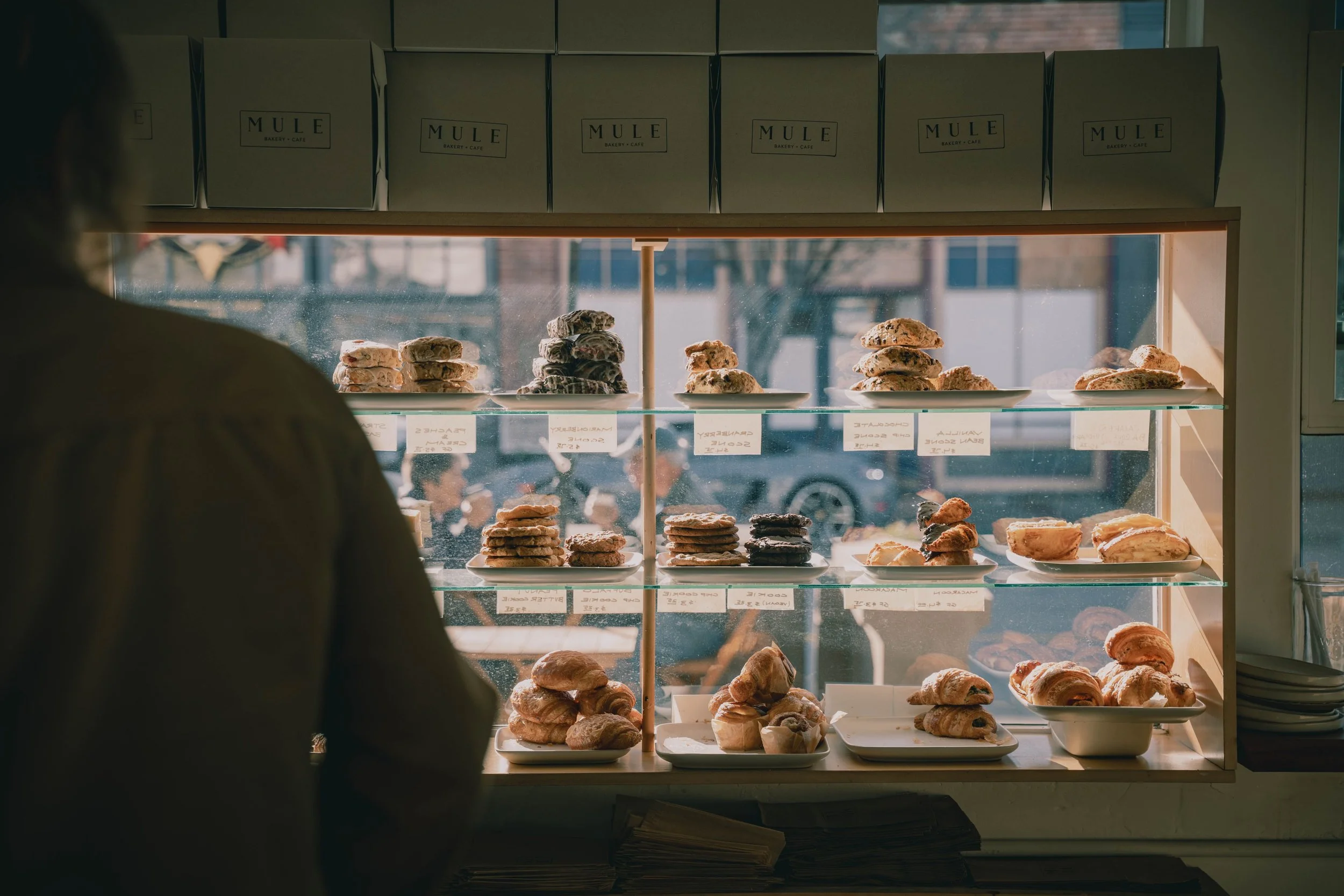 When We’re Ready We’ll Start Over by Opening a Bakeshop, by Chris Cottom