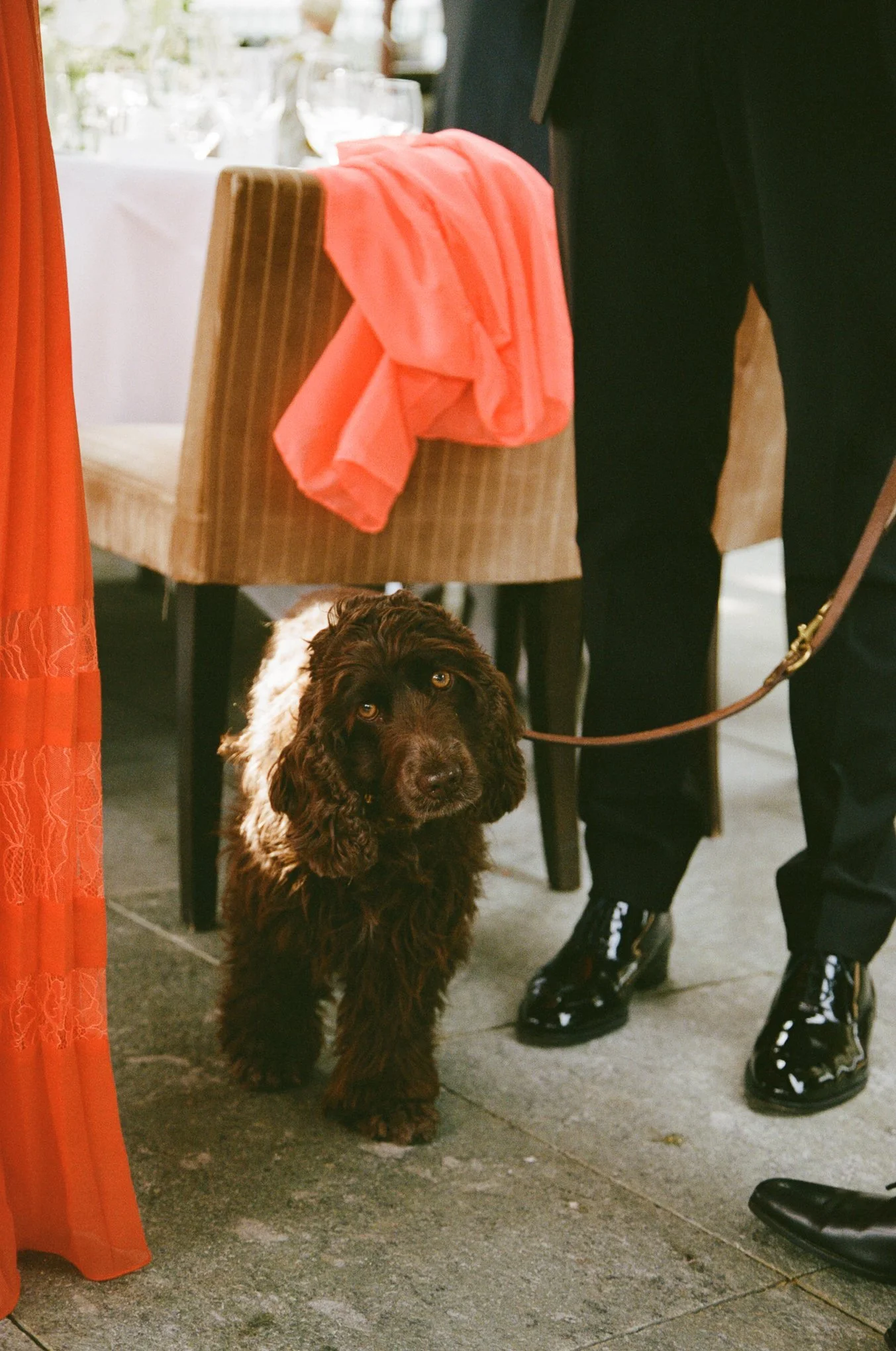 Gina and Dom Wedding-000002120035.jpg