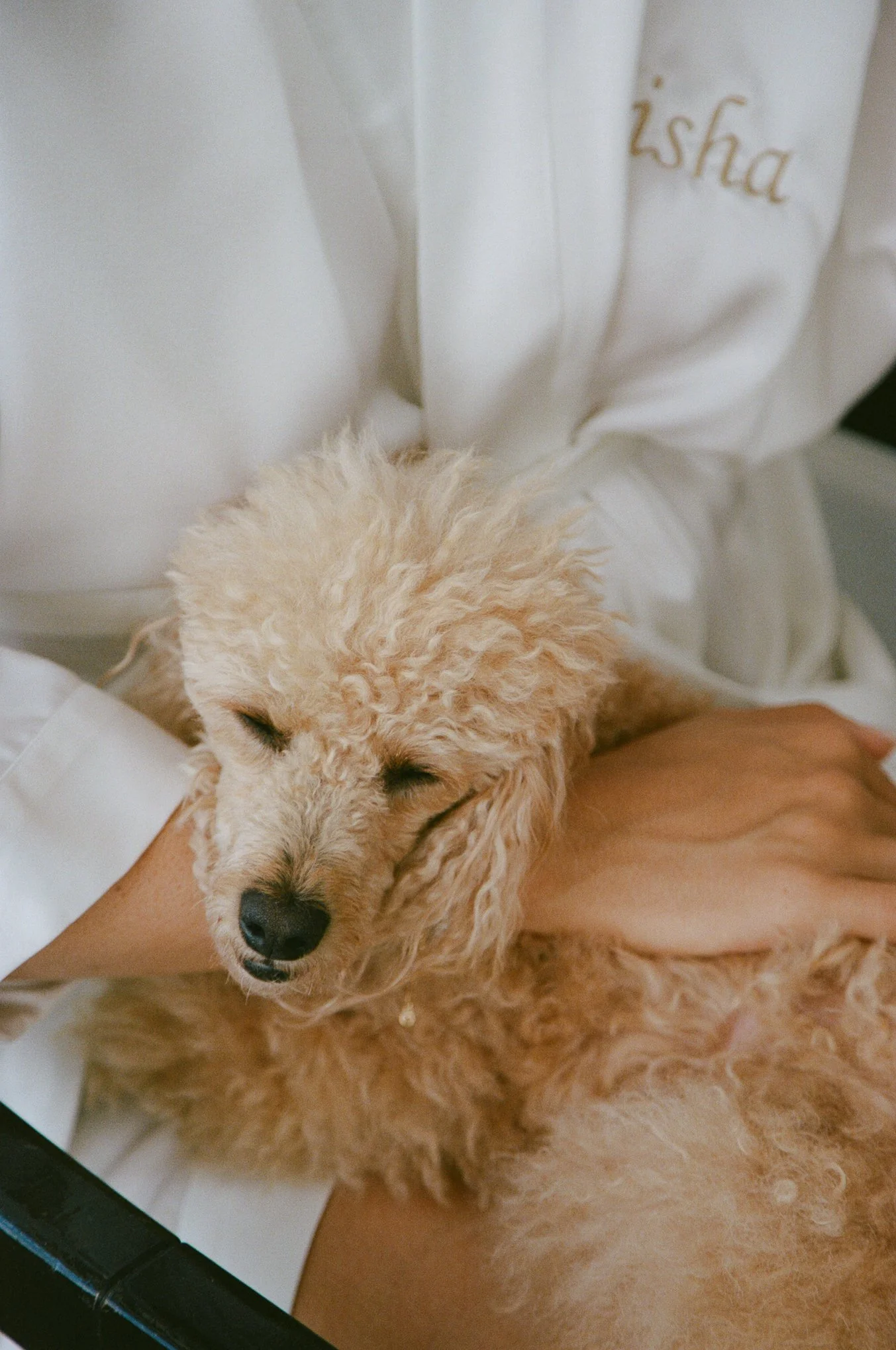 Gina and Dom Wedding-000002130033.jpg