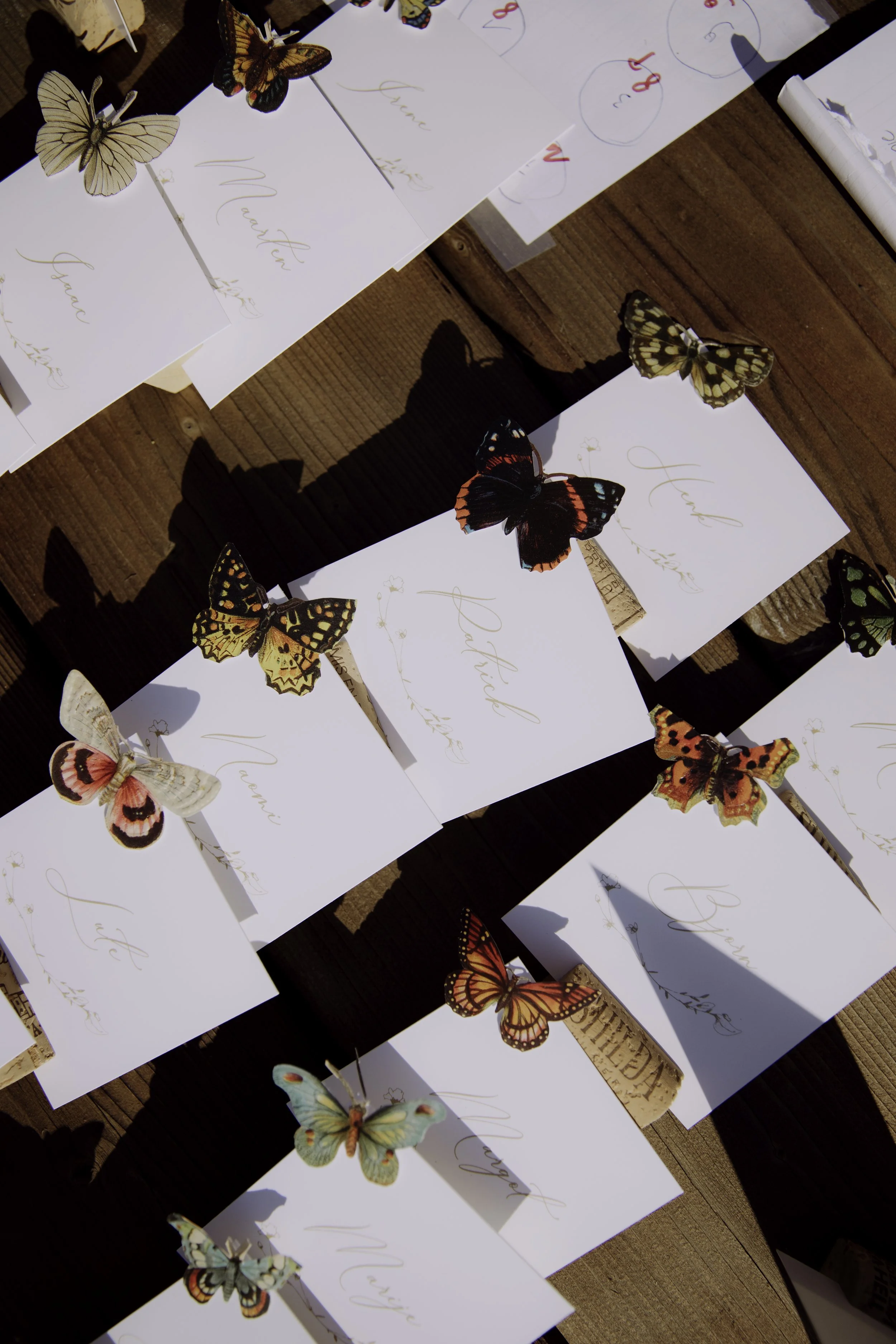 Roos en Klaas in Amsterdam-0344.jpg