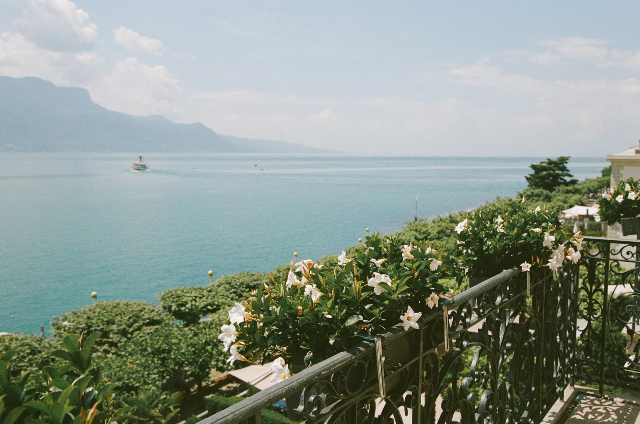 Gina and Dom Wedding-000002080026.jpg