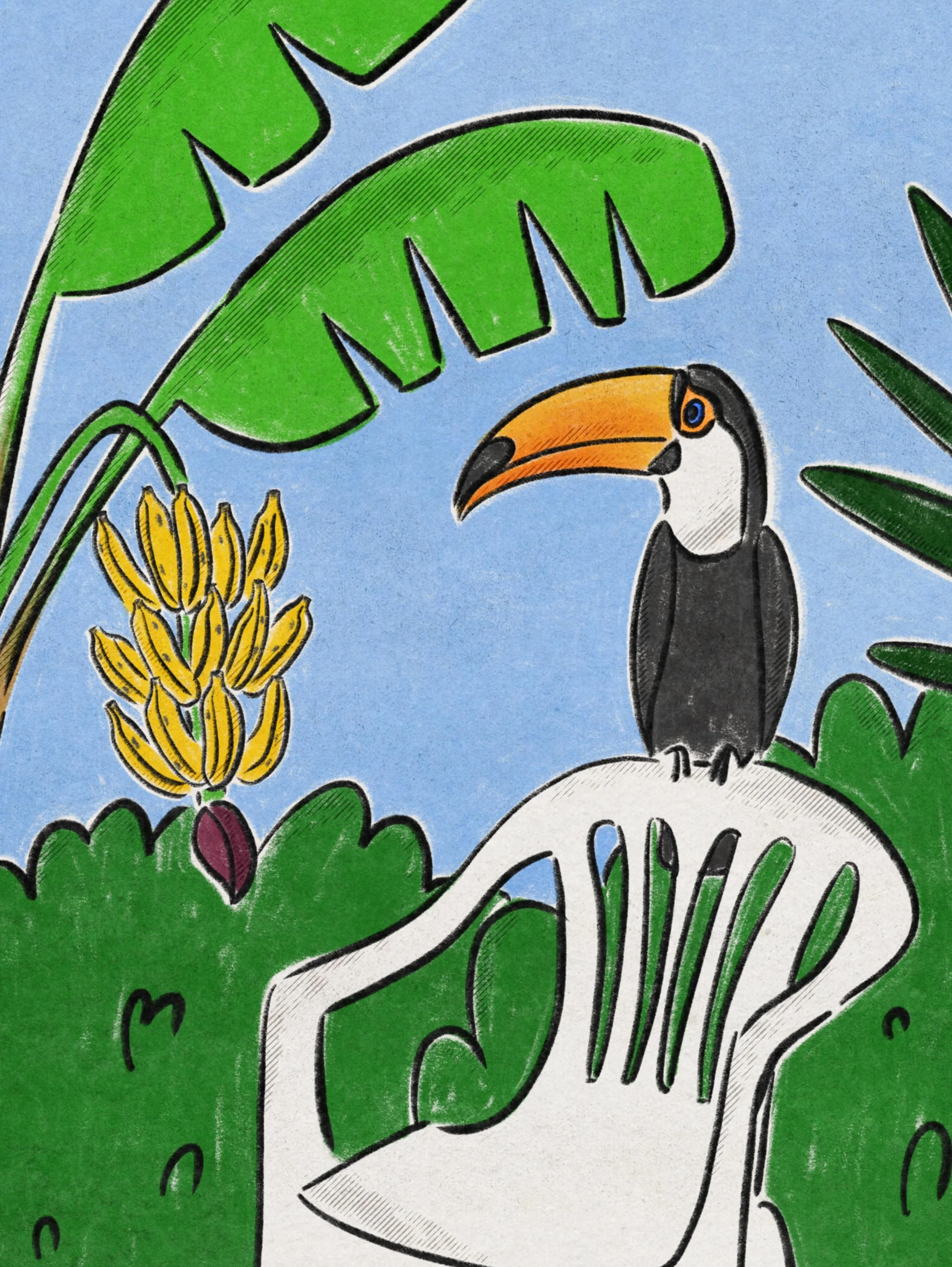 ✏️ 🦜🌴 
.
.
.
#illustration #tropicalvibes #nature #brasil #illustratorsoninstagram