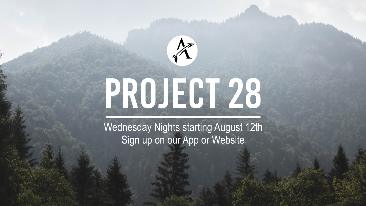 Project 28