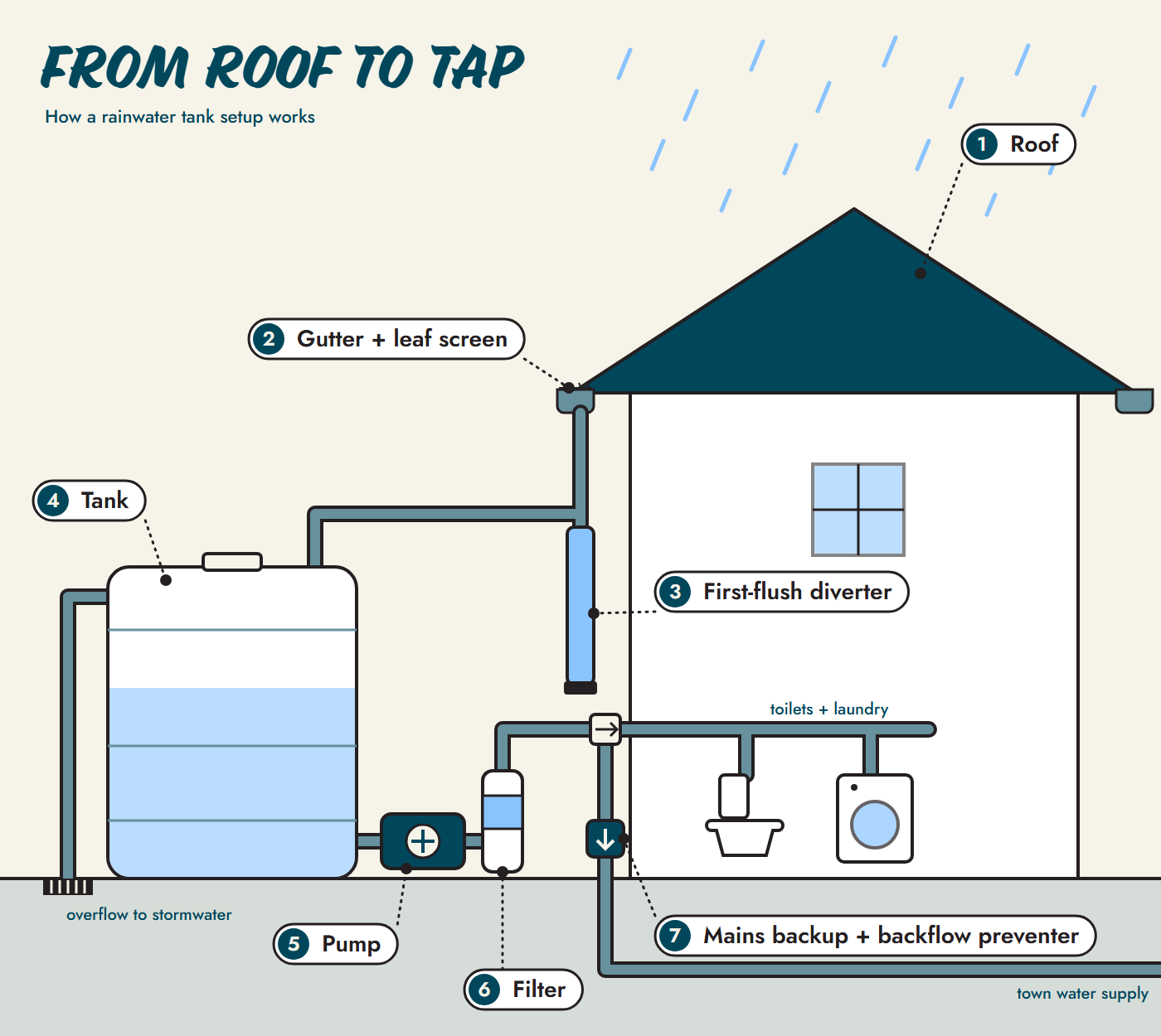 Diagram of a rainwater tank system from roof to tap: roof, gutter and leaf screen, first-flush diverter, tank, pump, filter, and mains backup with backflow preventer