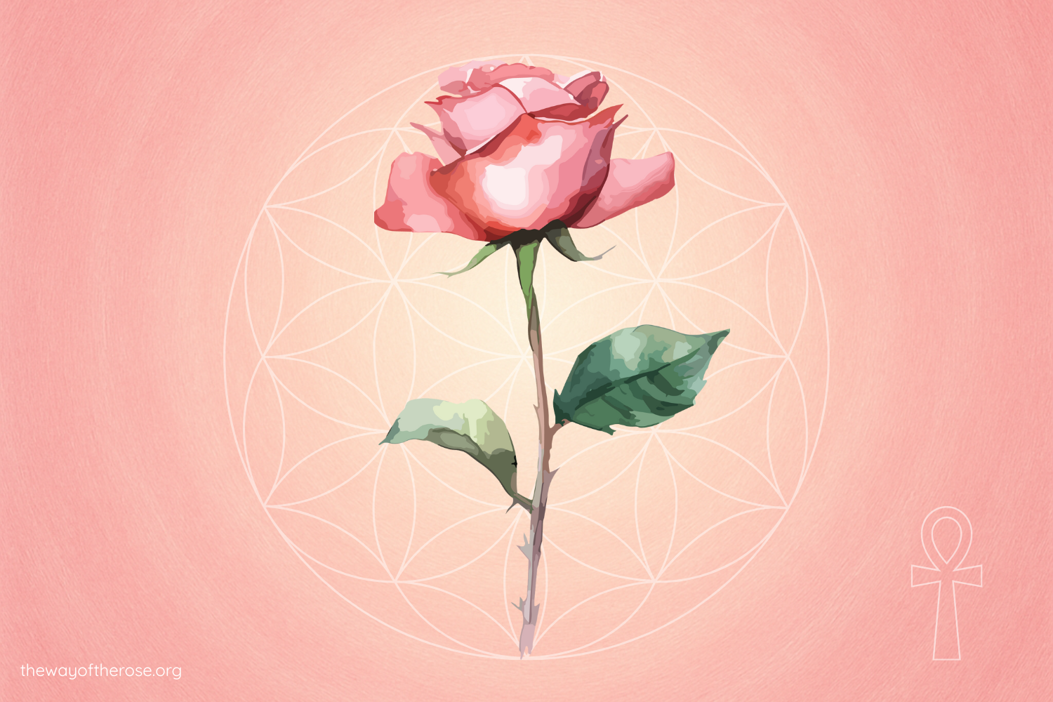 Rose Gathering, weekly online