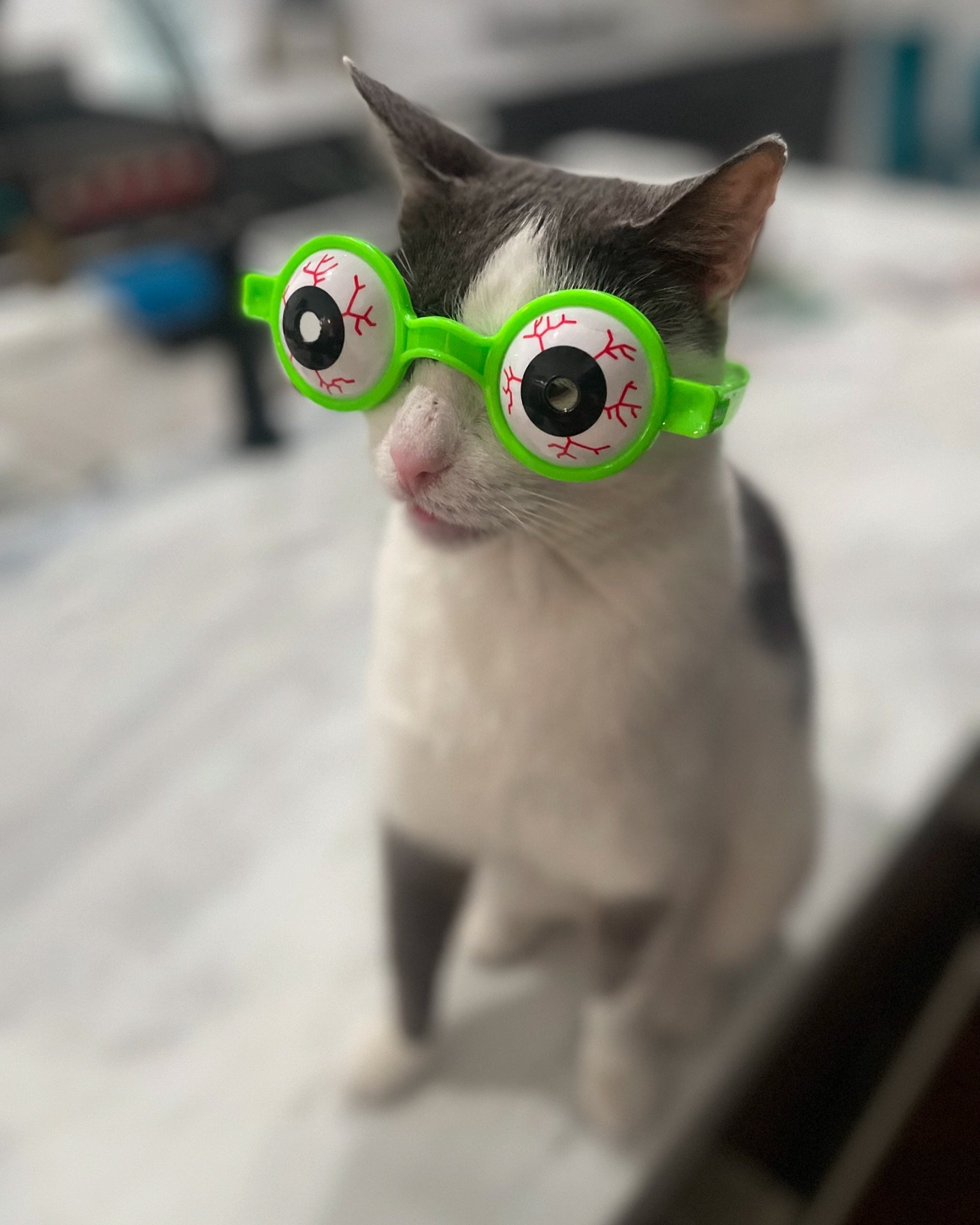 Halloween Vibes with Moozie! 👀