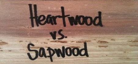 Handwritten sign comparing Heartwood versus Sapwood.