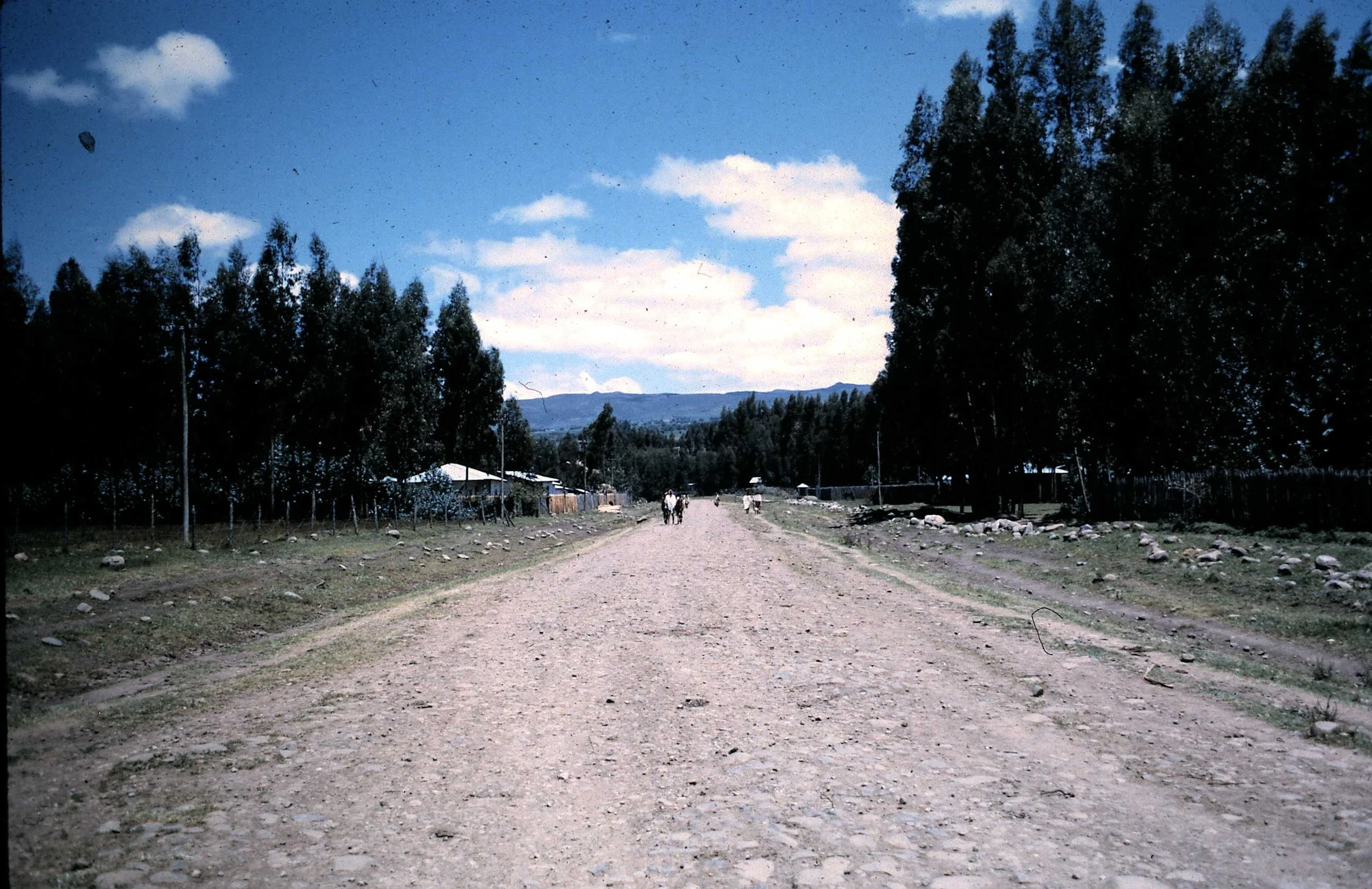 Coming into Town.JPG