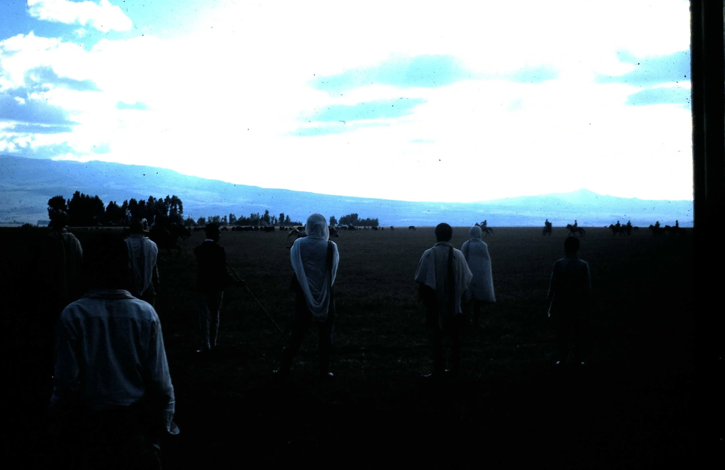 Copy of Horse Racing.JPG