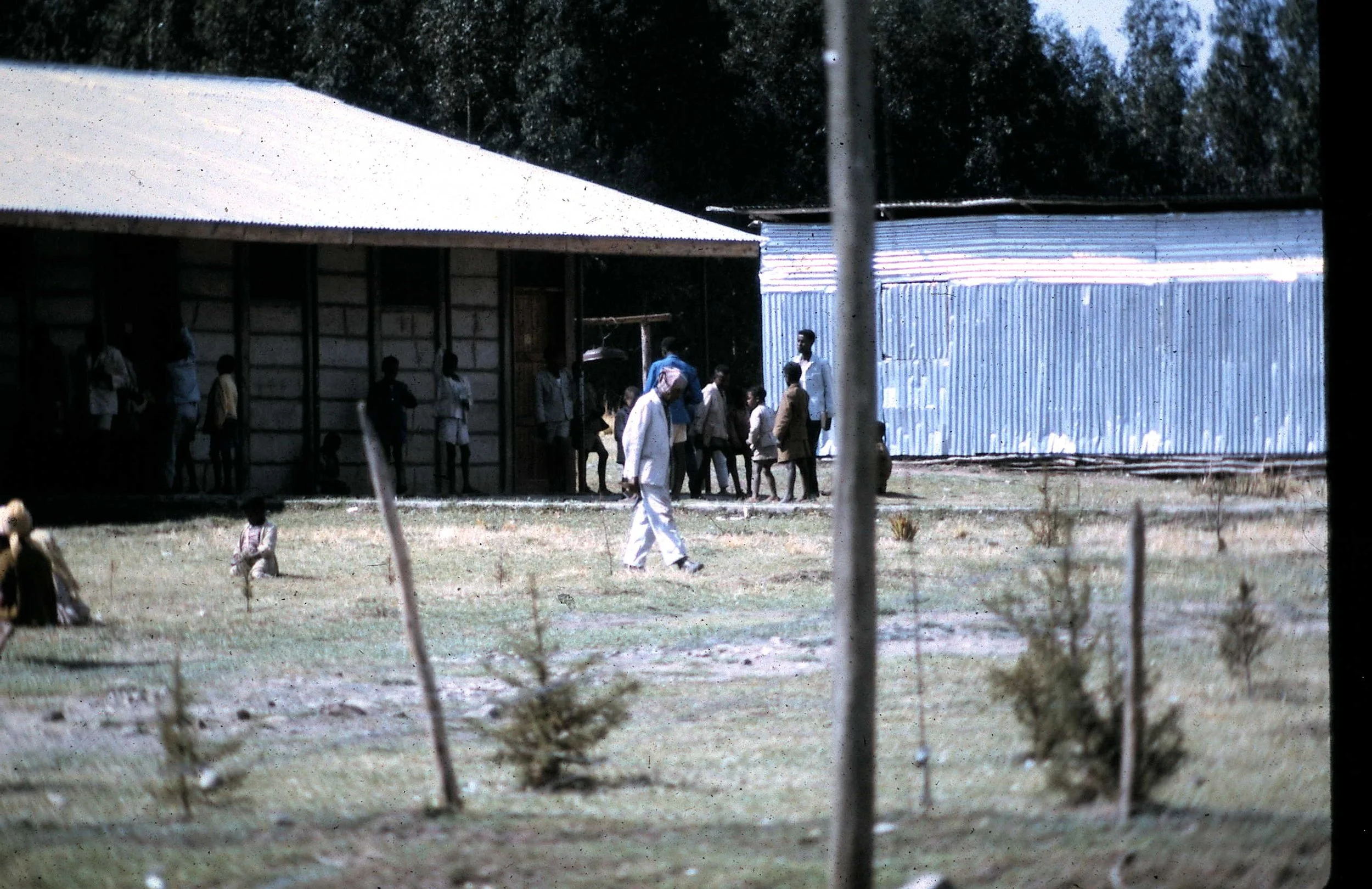 Copy of School 1.JPG