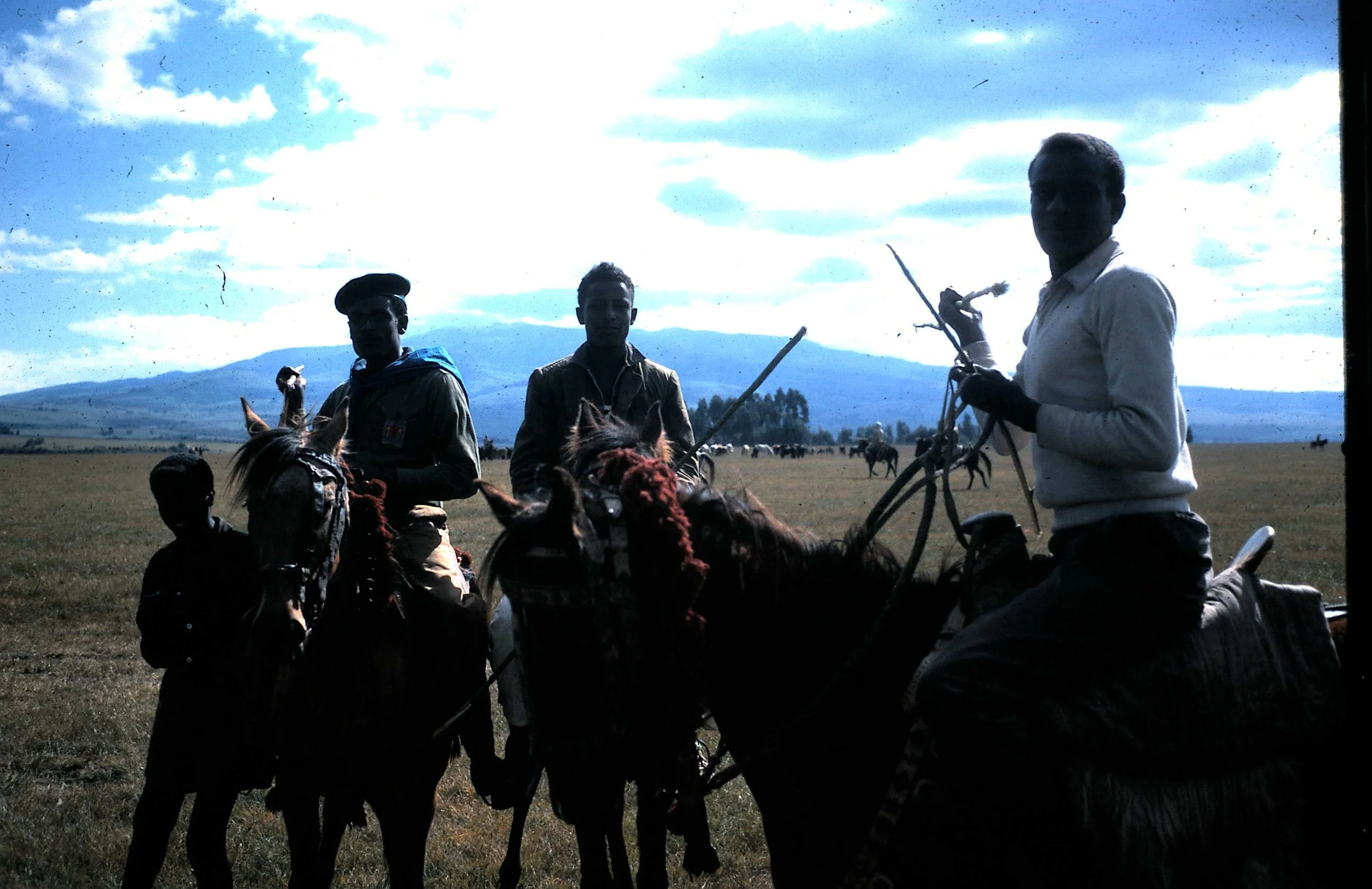 Copy of Horse Races 2.JPG