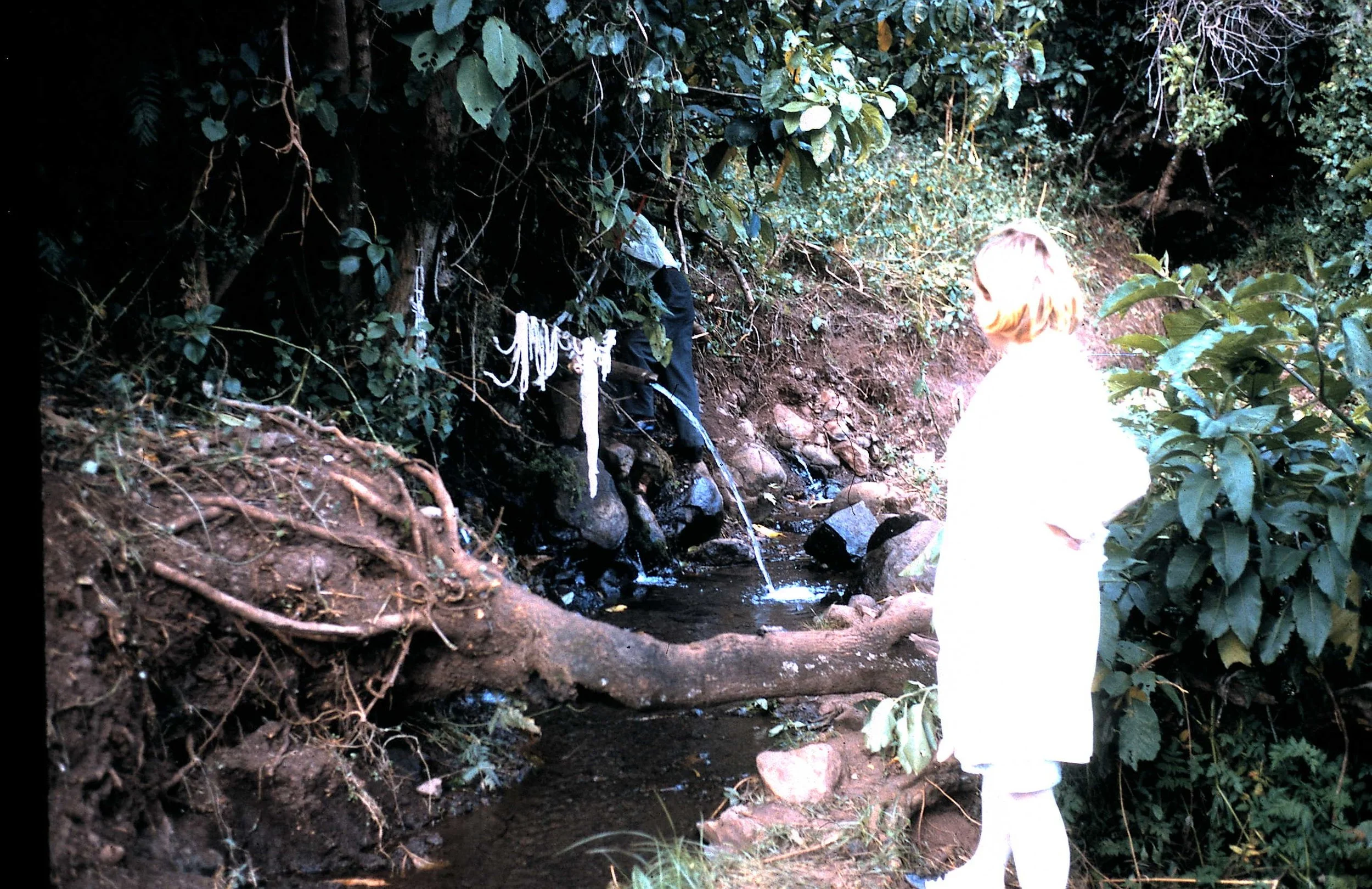 Copy of The Spring.JPG