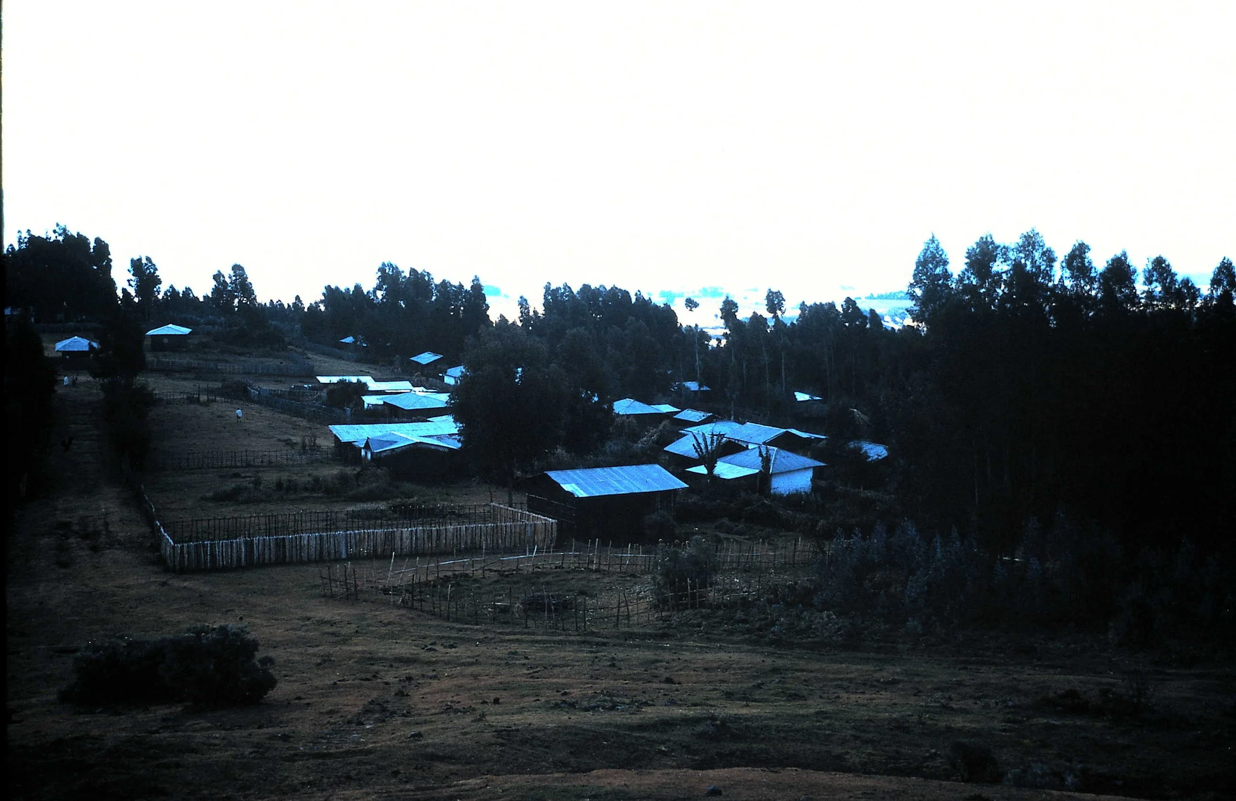 Copy of Part of Bekoji.JPG