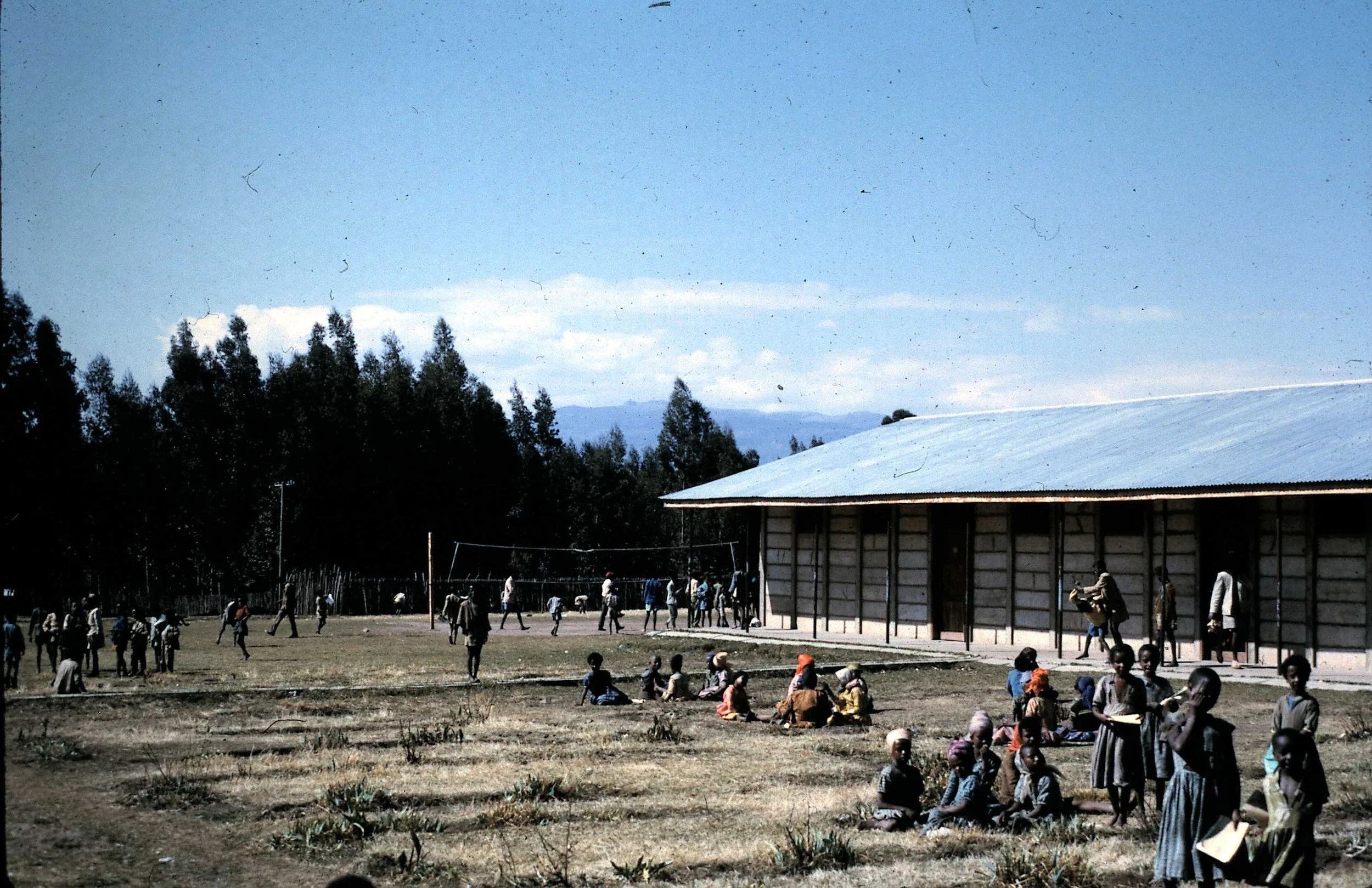 Copy of School 3.JPG