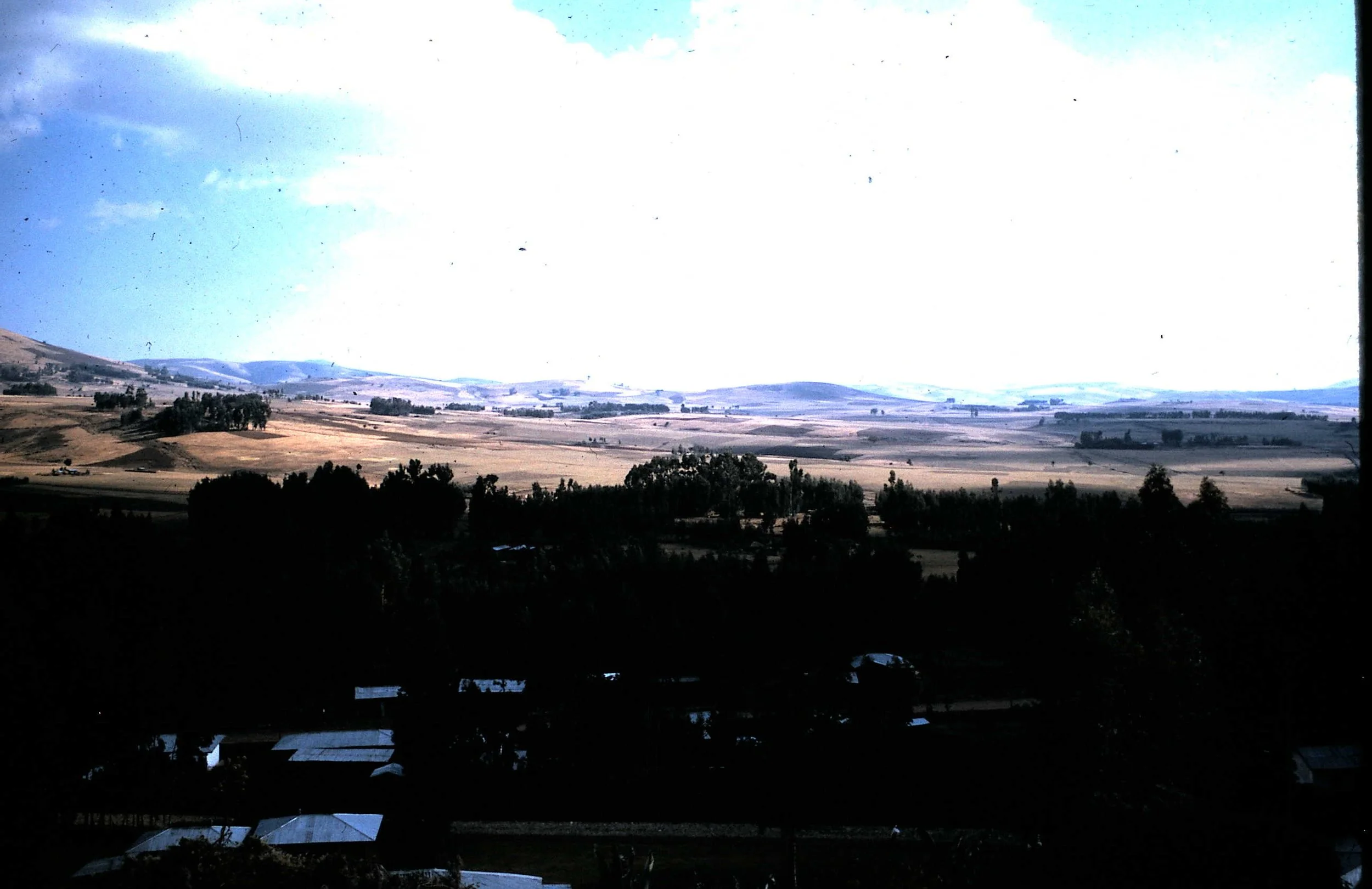 Copy of Part of Bekoji 3.JPG