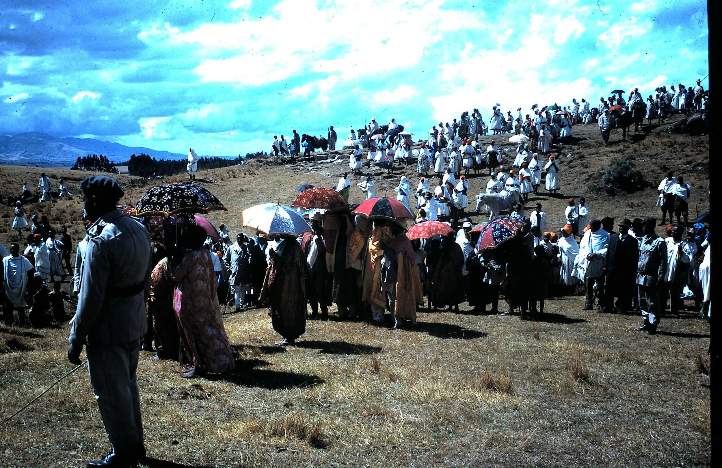 Copy of Timkit 1.JPG