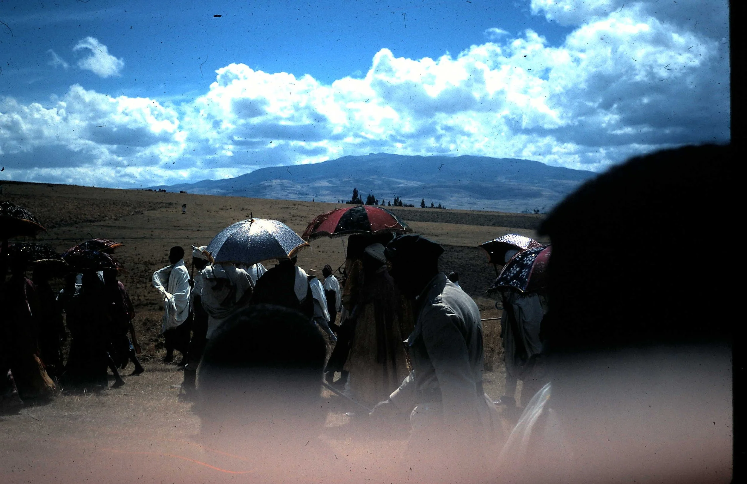 Copy of Timkit 3.JPG