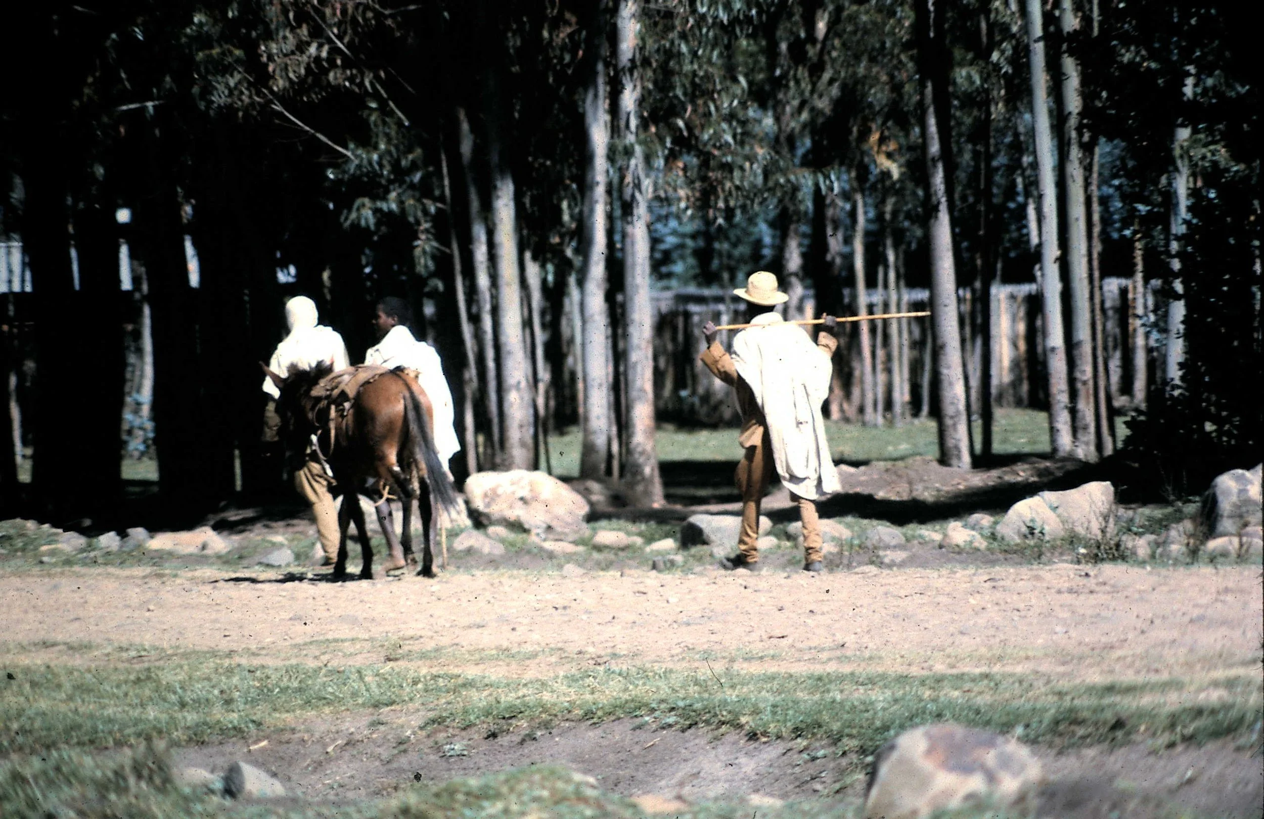 Copy of Market Day 5.JPG