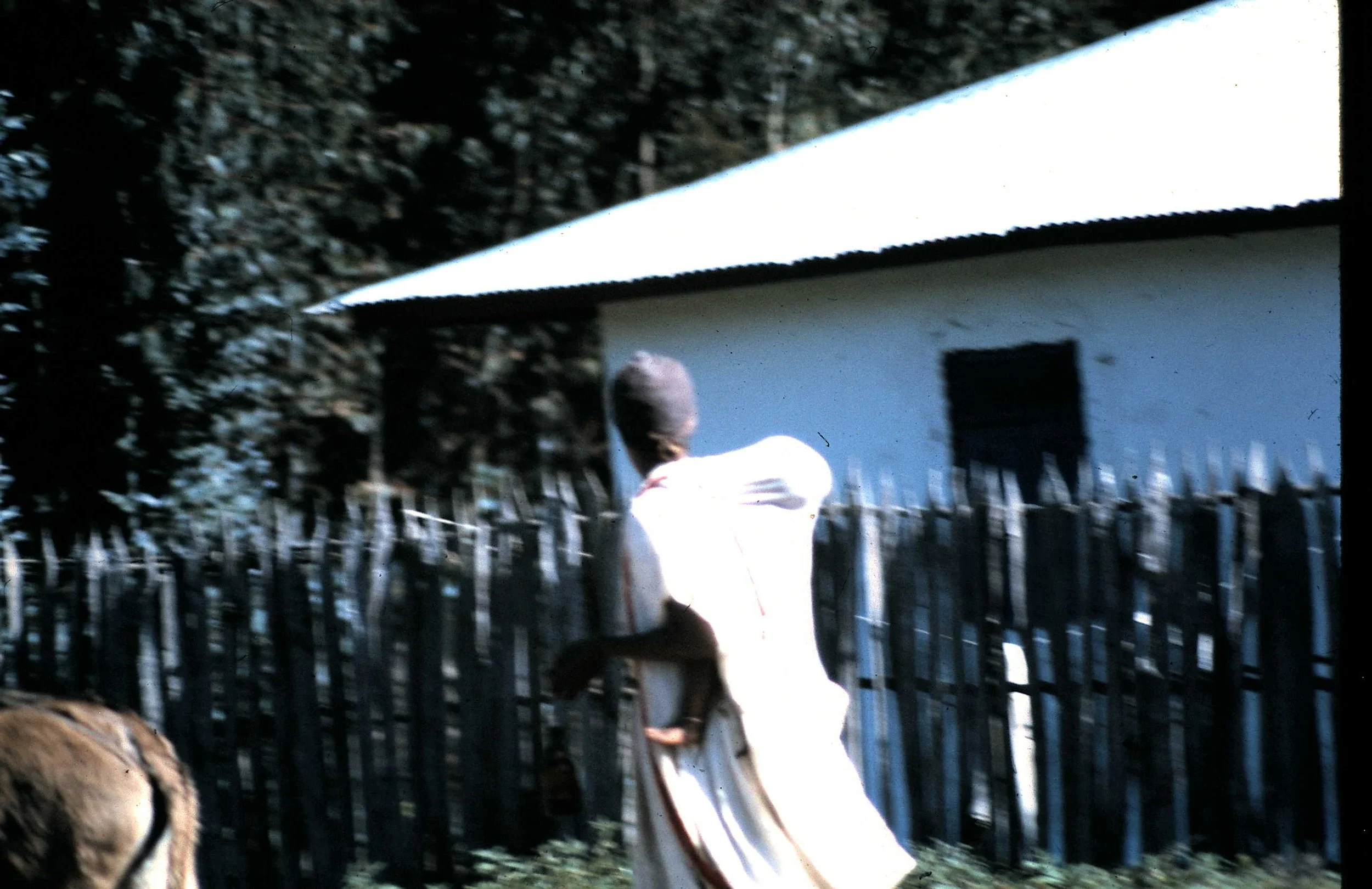 Copy of Market Day 4.JPG