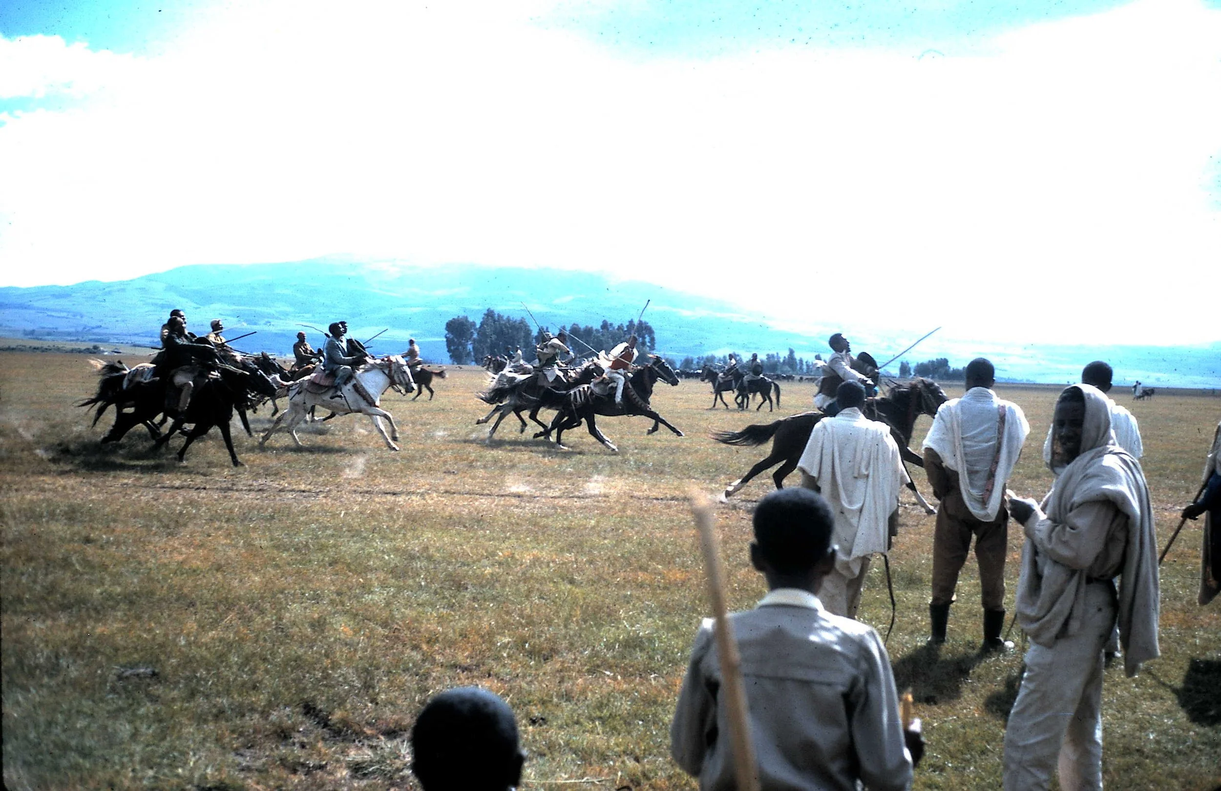 Copy of Horse Races 3.JPG