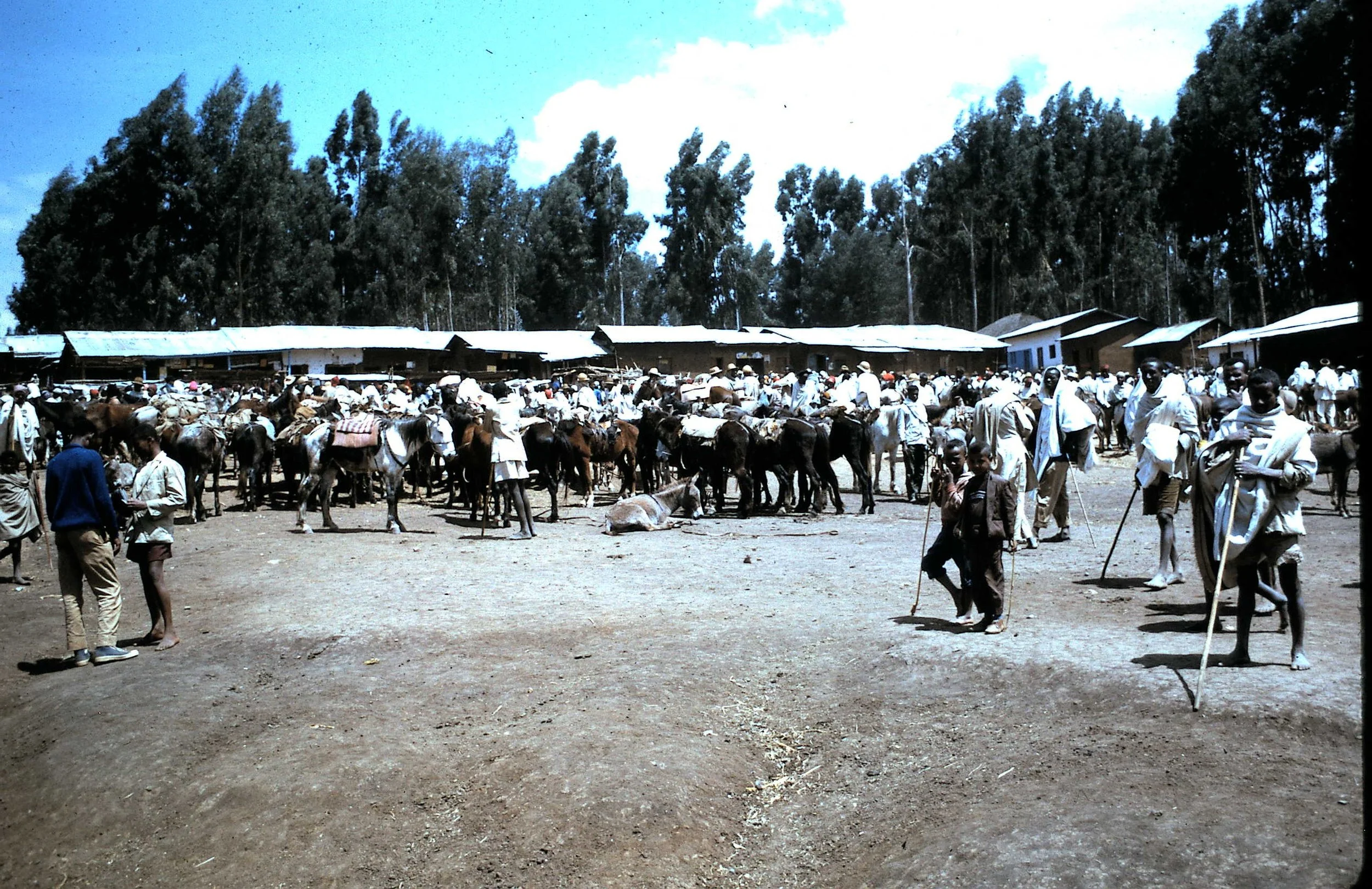 Copy of Market Day 13.JPG