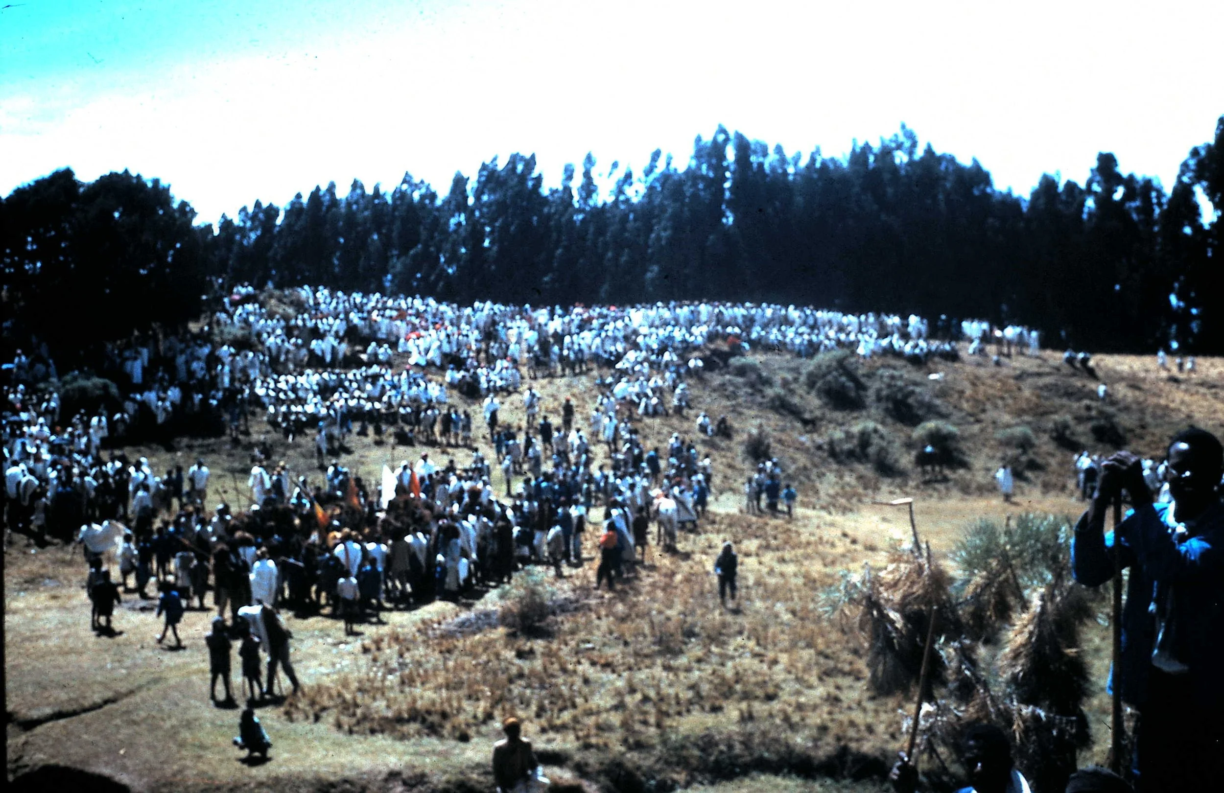 Copy of Timkit 2.JPG