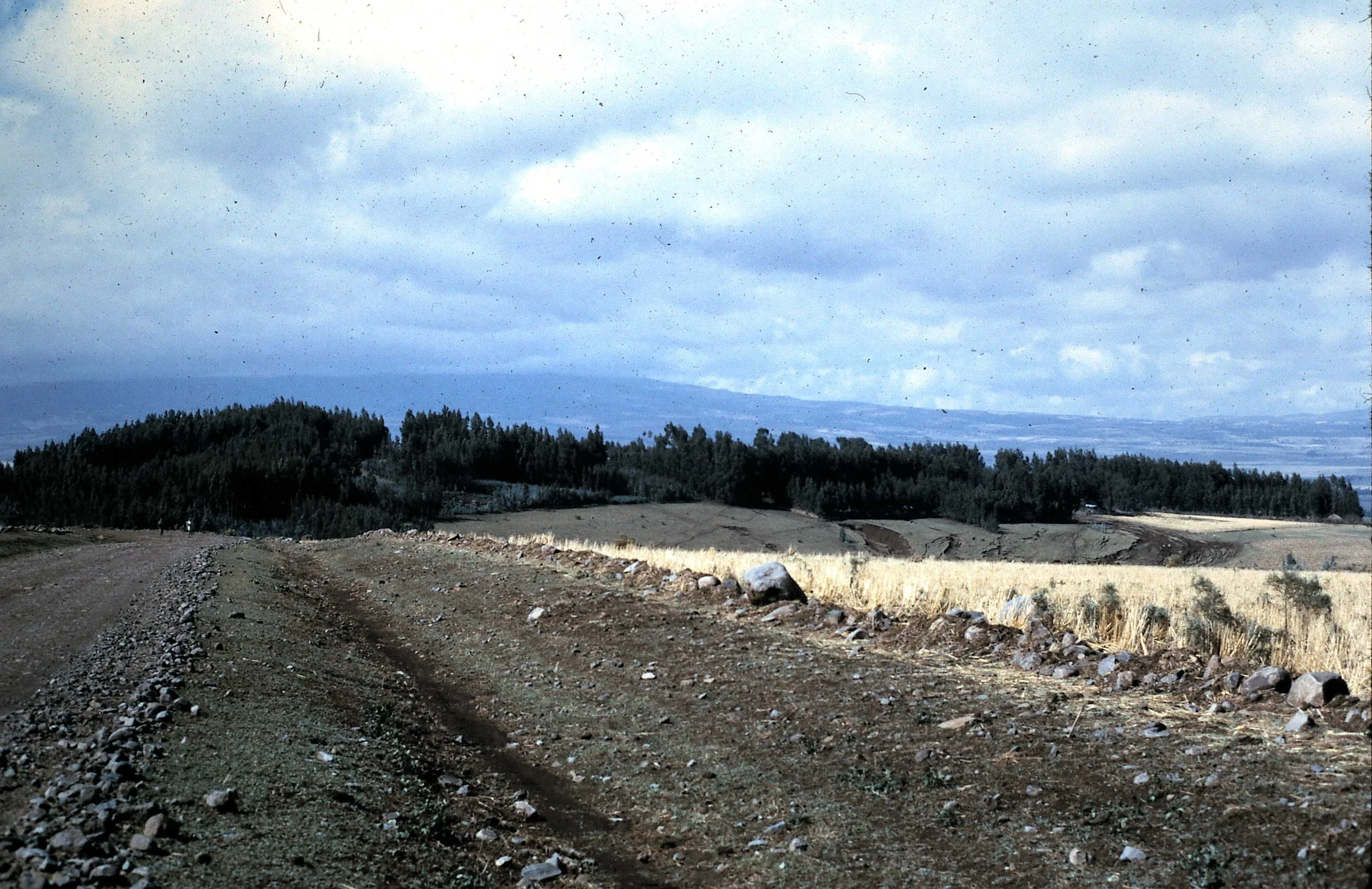 Copy of Road into Town.JPG