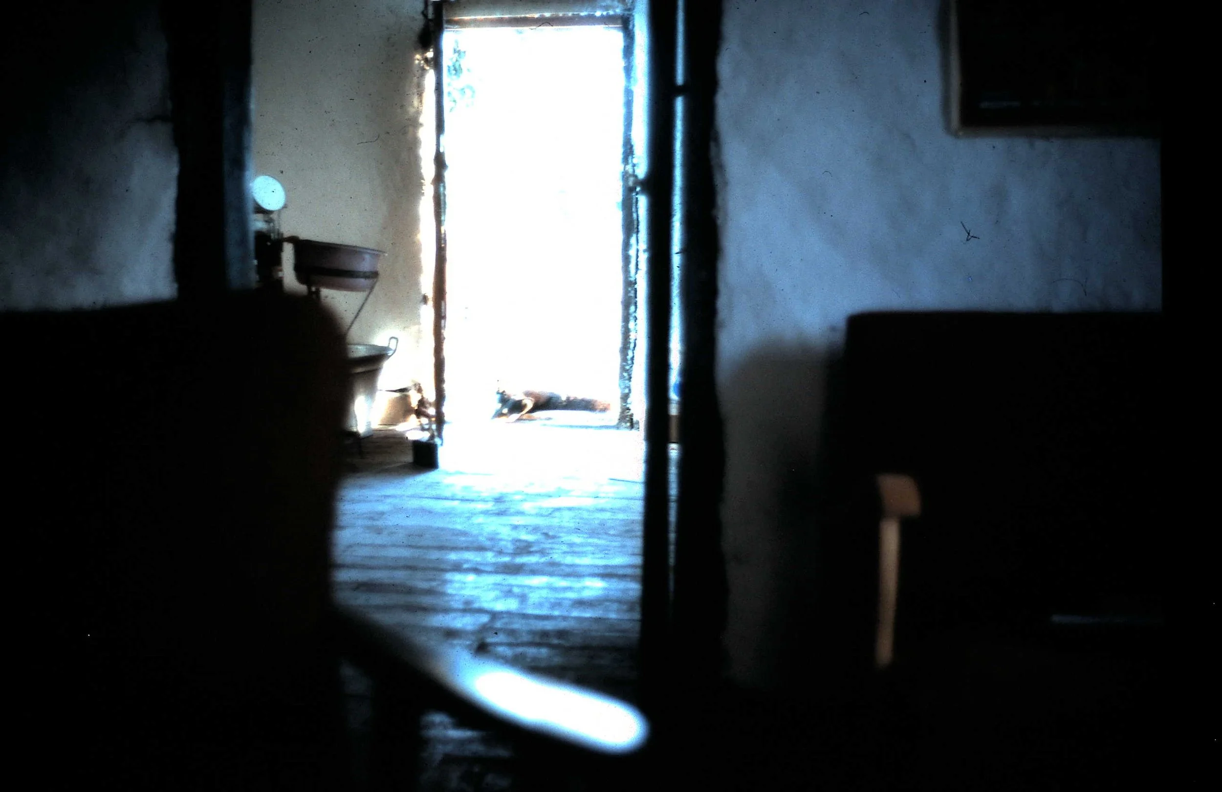 Copy of House 100.JPG