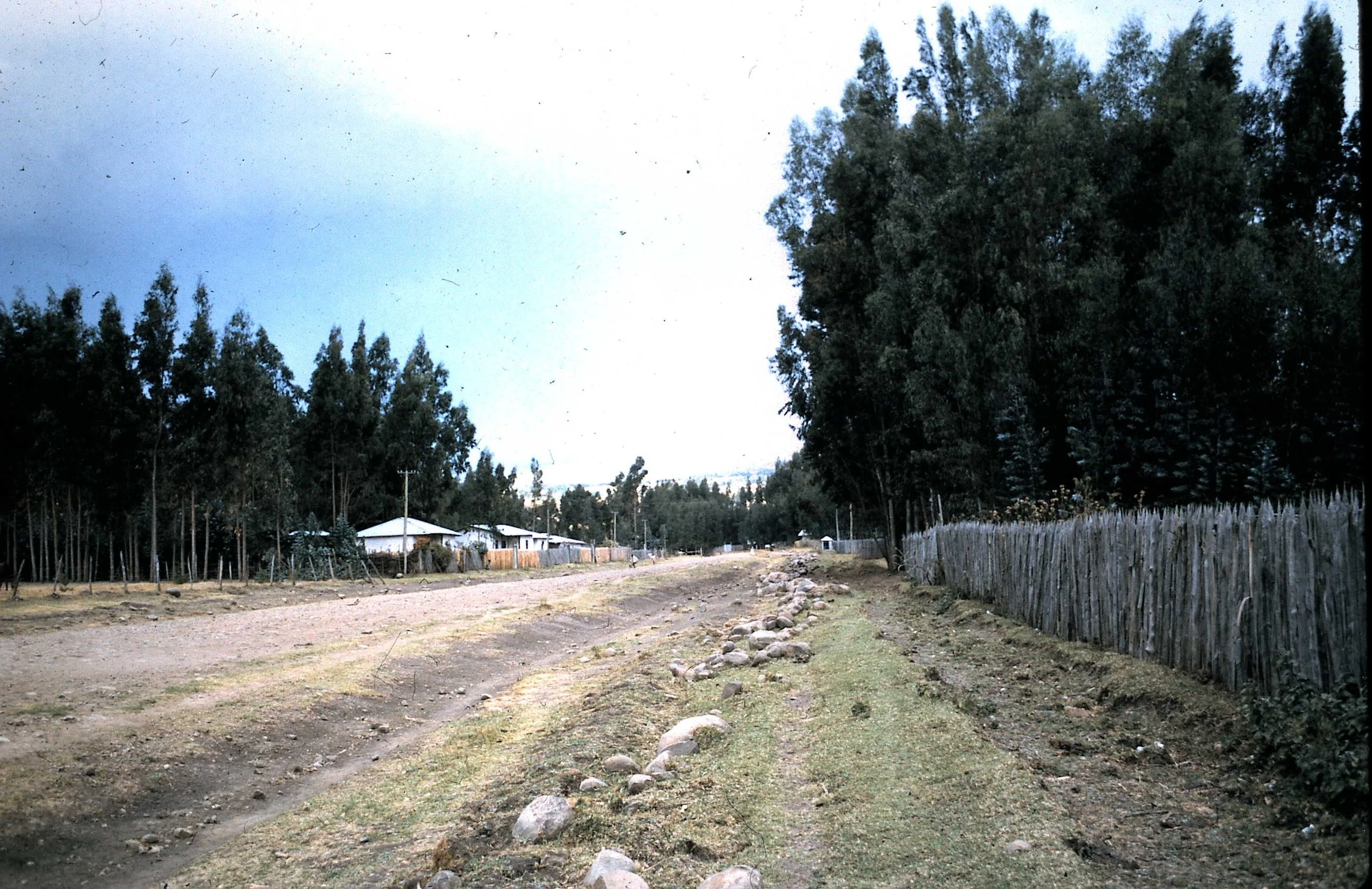 Copy of Road Out of Town.JPG