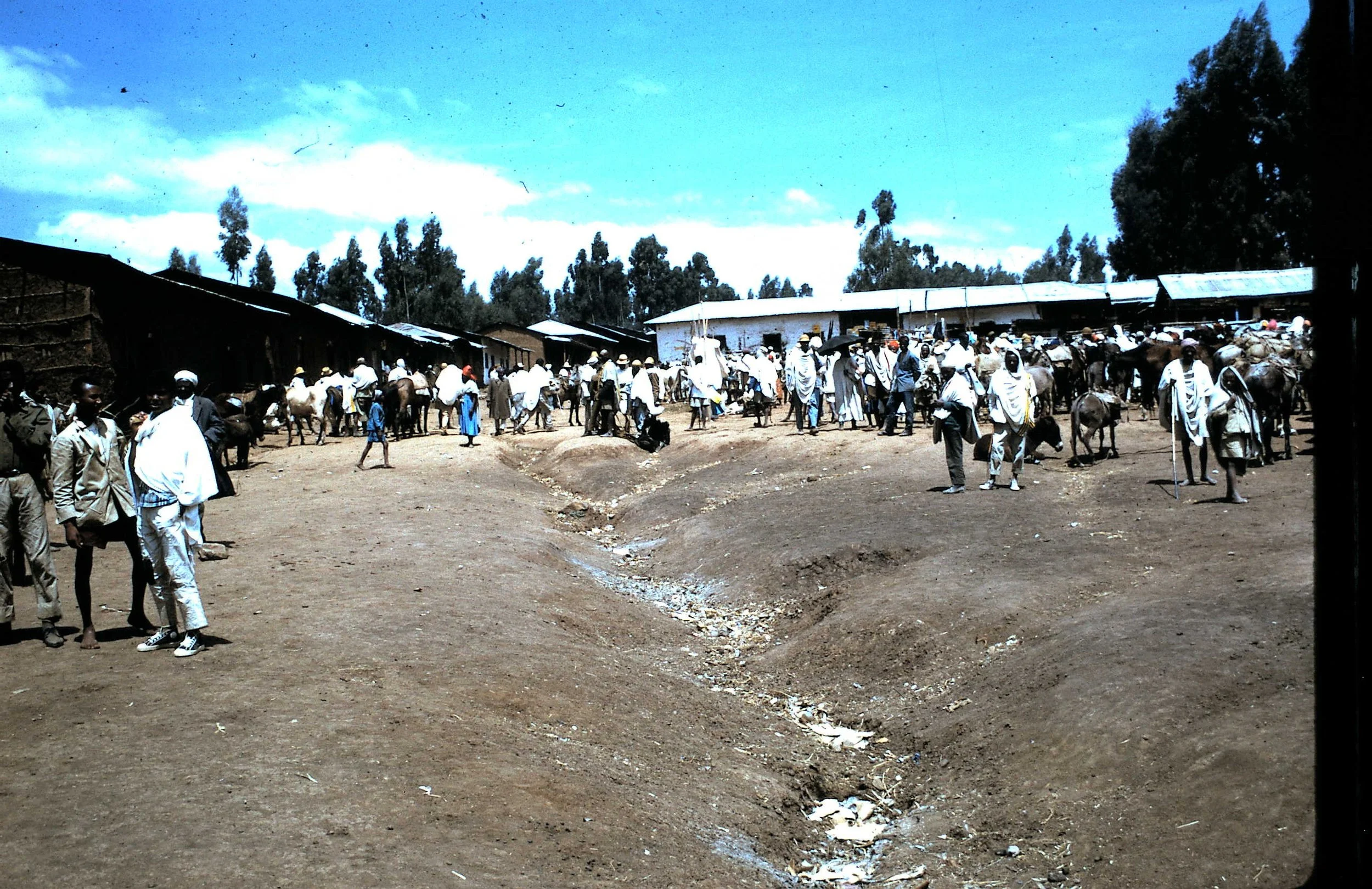 Copy of Market Day 14.JPG