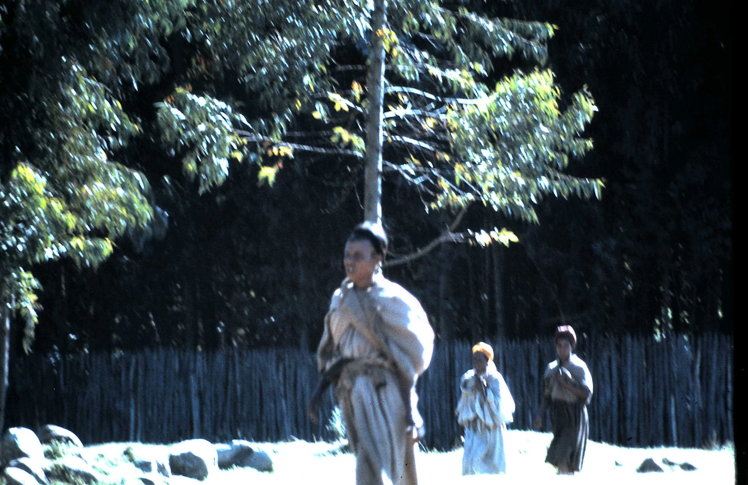 Copy of Market Day 9.JPG