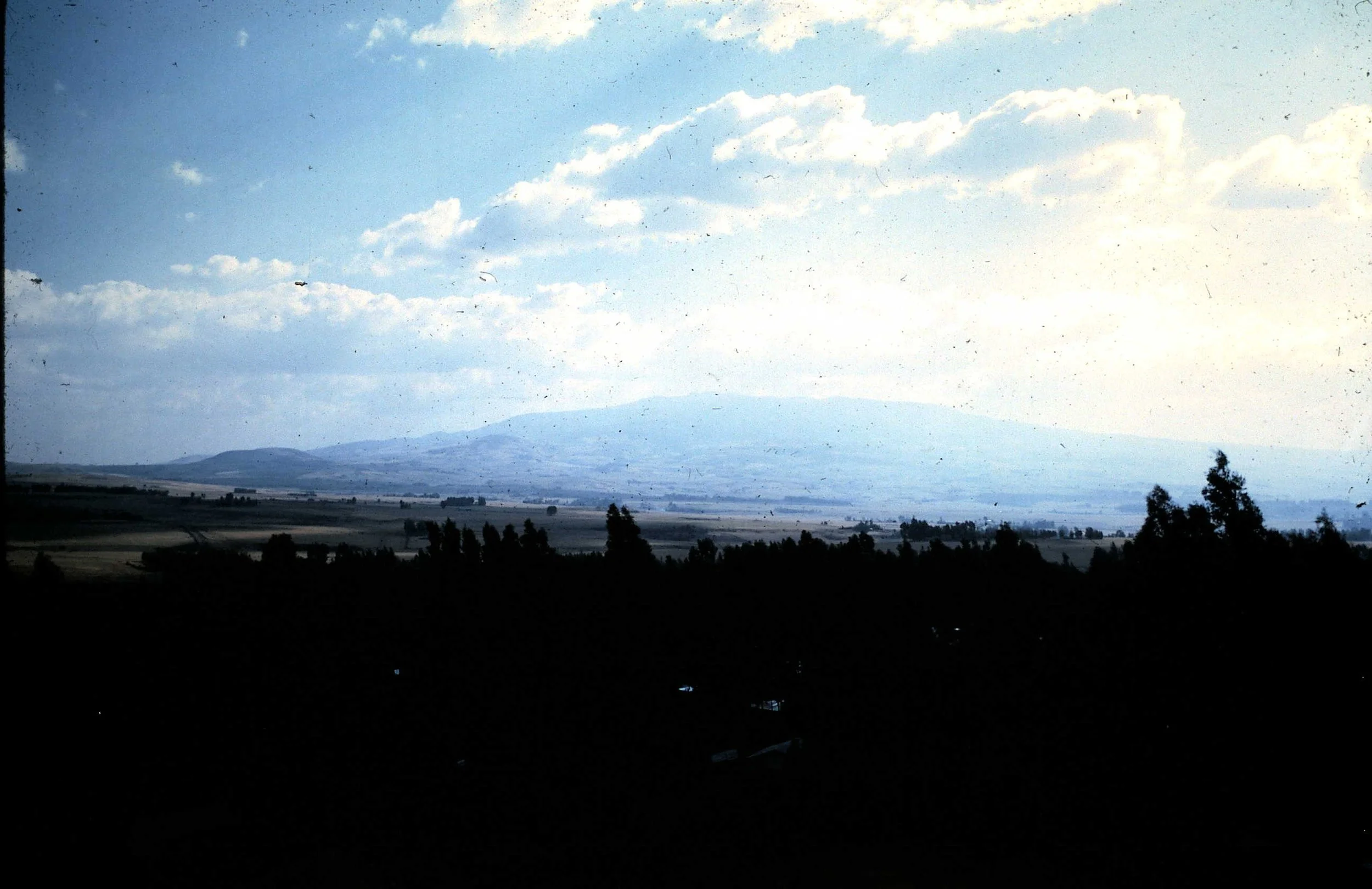 Copy of Part of Bekoji 4.JPG