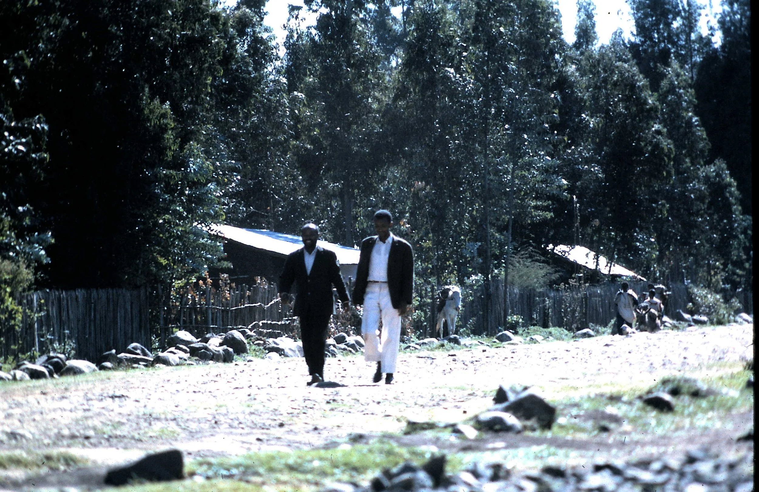 Ato Mengistu _ Yirma.JPG