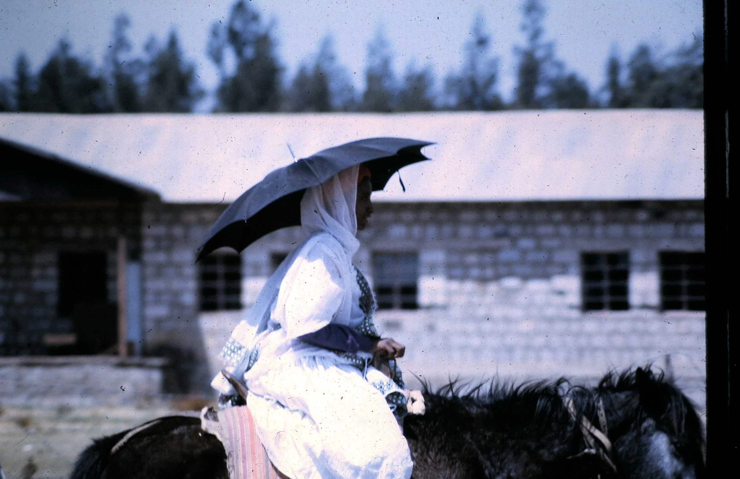 Copy of Market Day 8.JPG