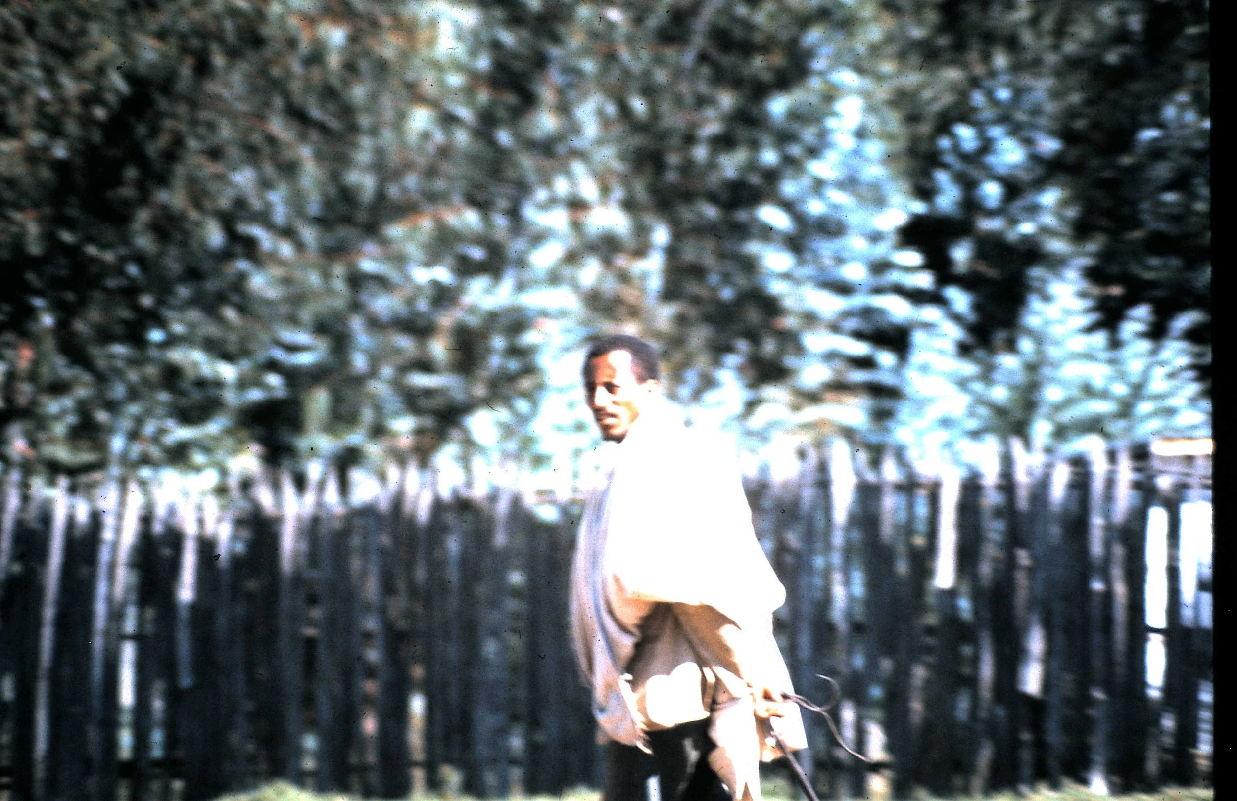 Copy of Market Day 1.JPG