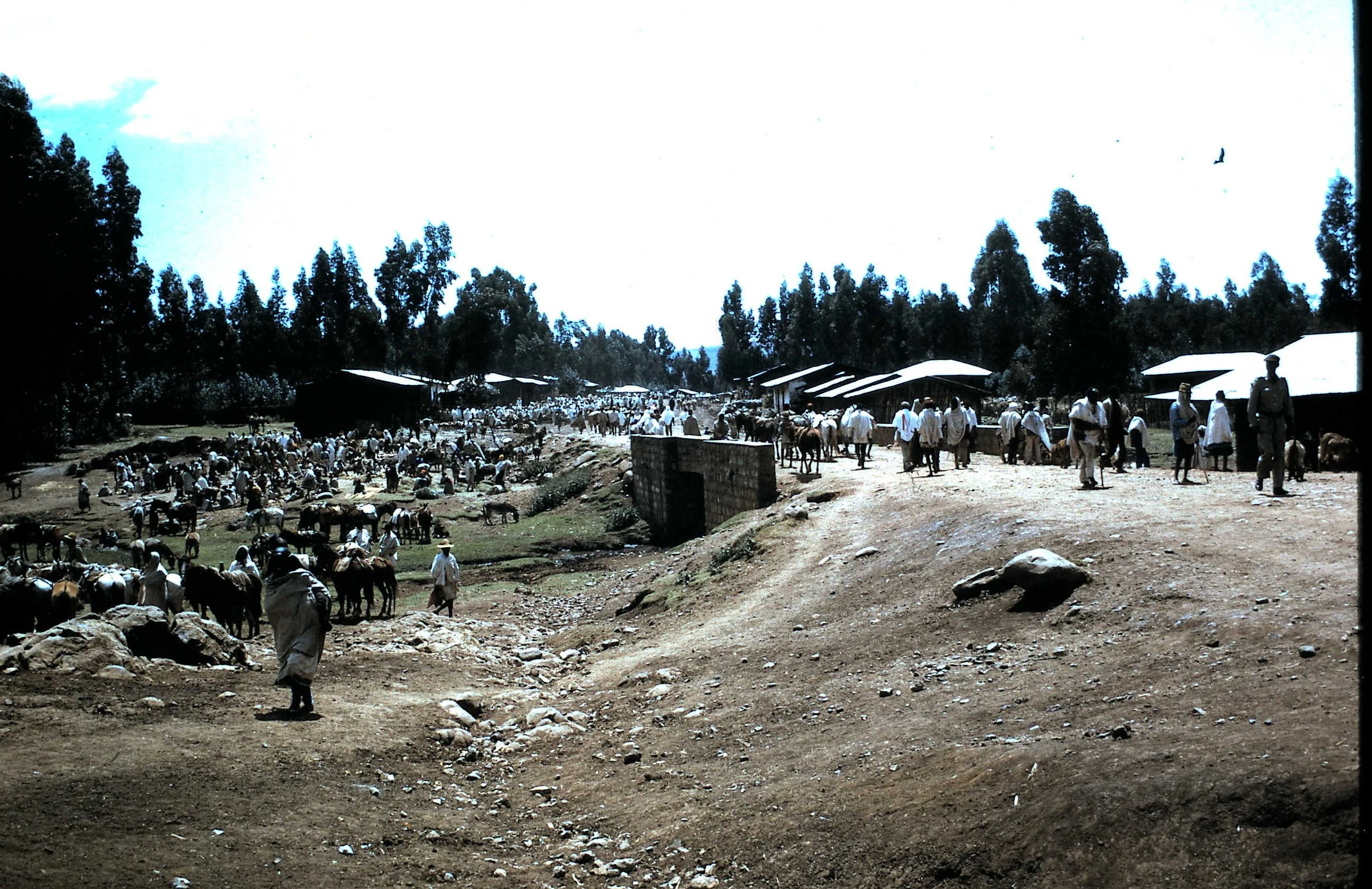 Copy of Market Day 10.JPG