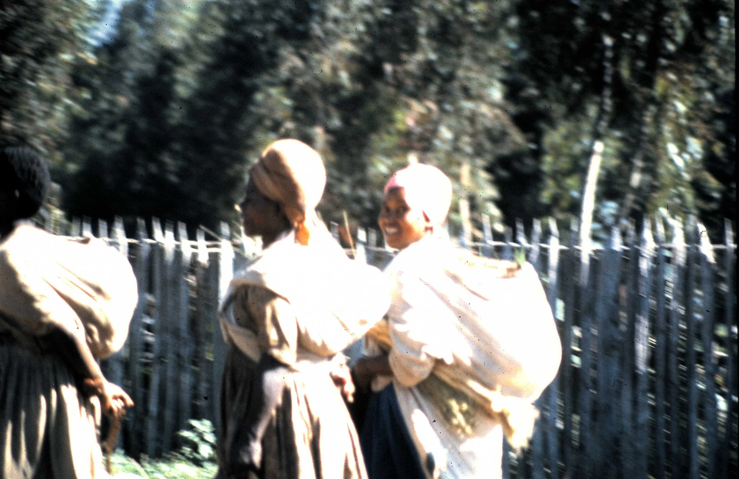 Copy of Market Day 7.JPG