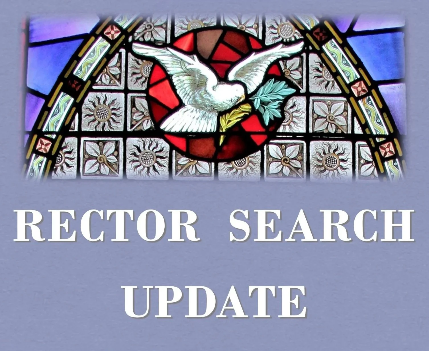 Update from the Rector Search Committee