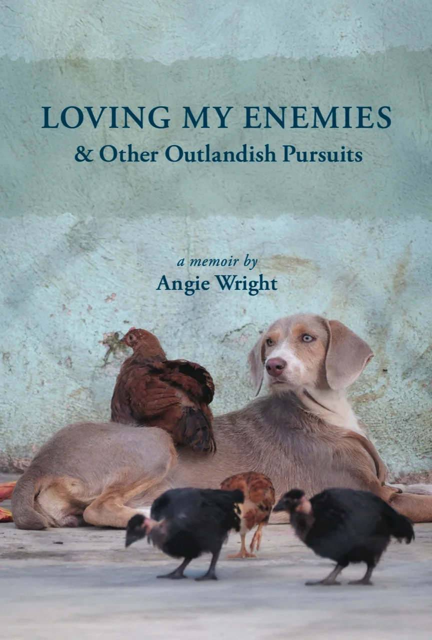 Book Discussion: Loving My Enemies and Other Outlandish Pursuits, July 19th