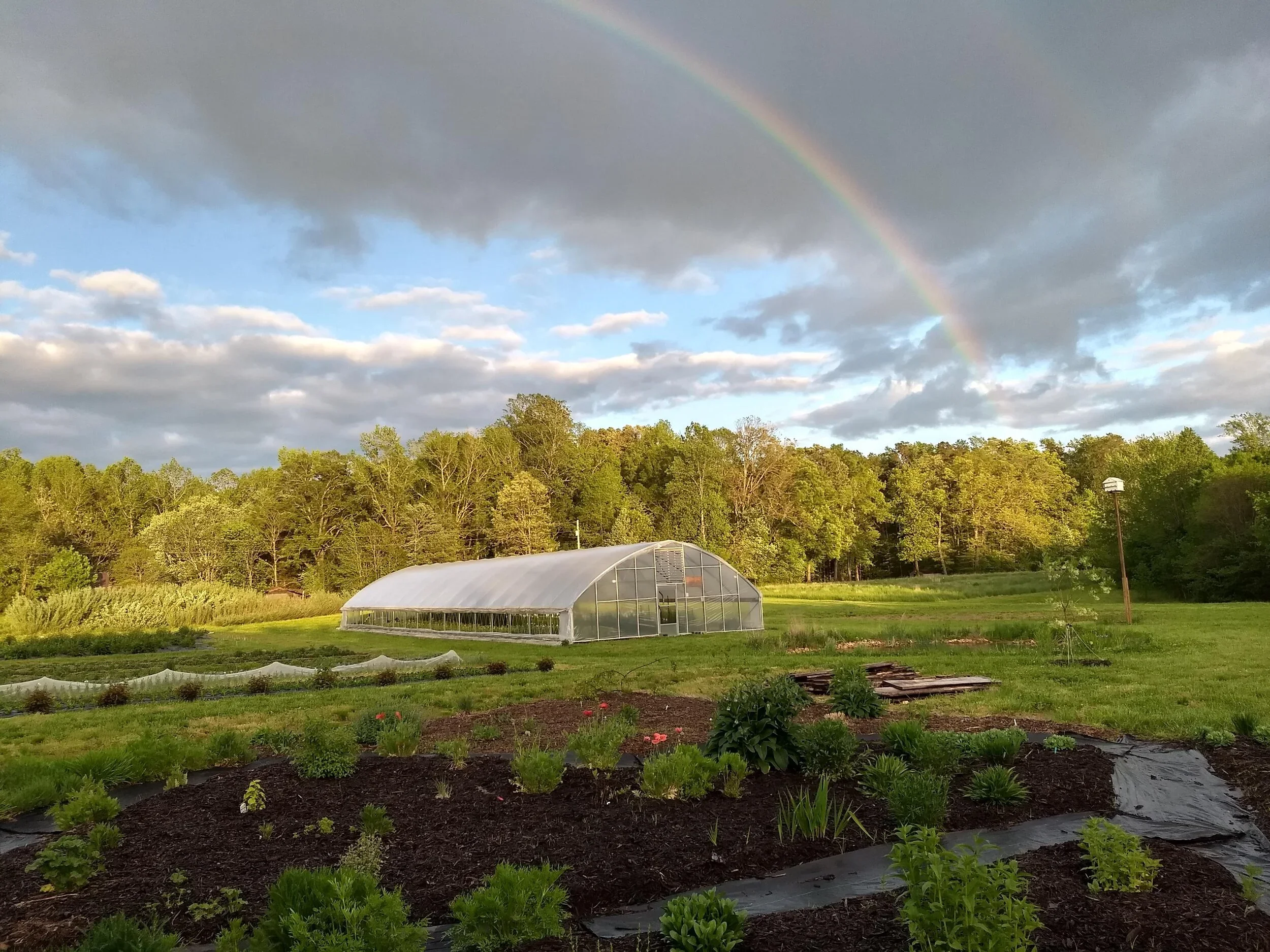 Women’s Ministry Brunch at Spring Forth Farm