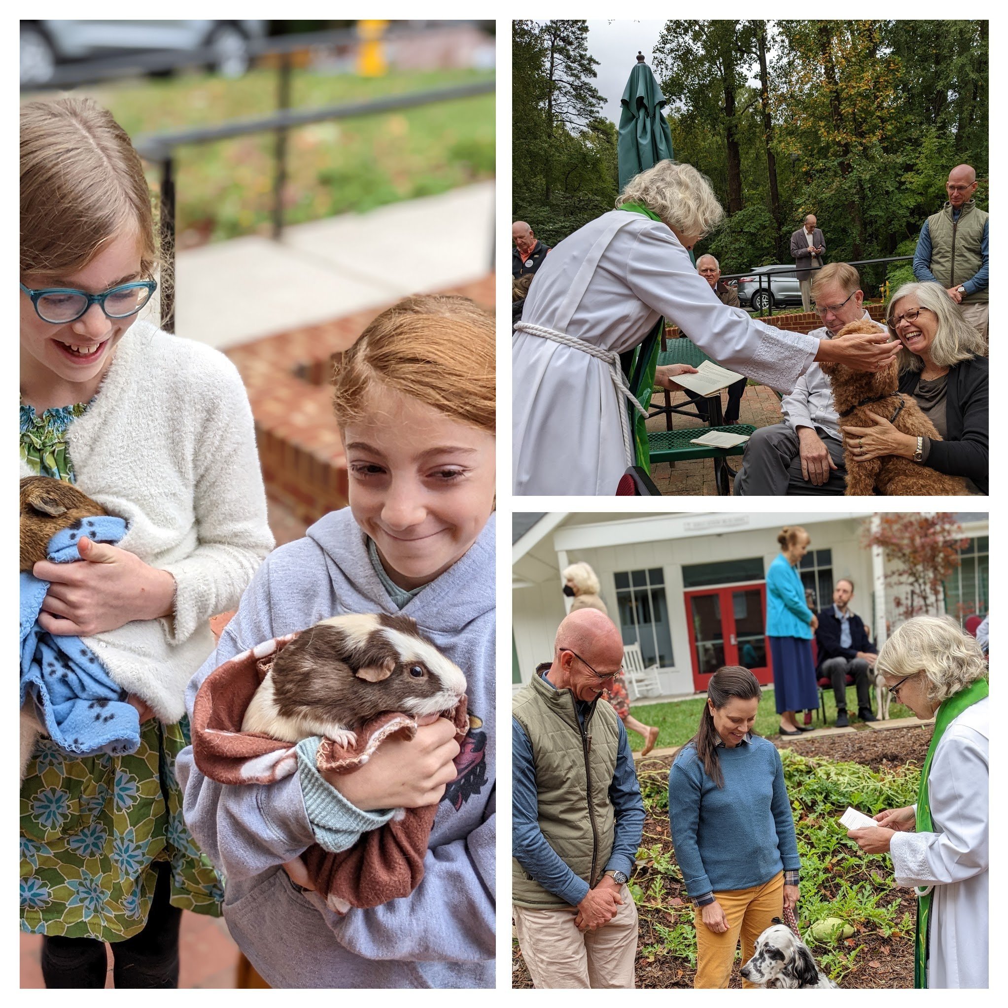 Village Church: Blessing of the Animals! — St. Matthew's Episcopal Church