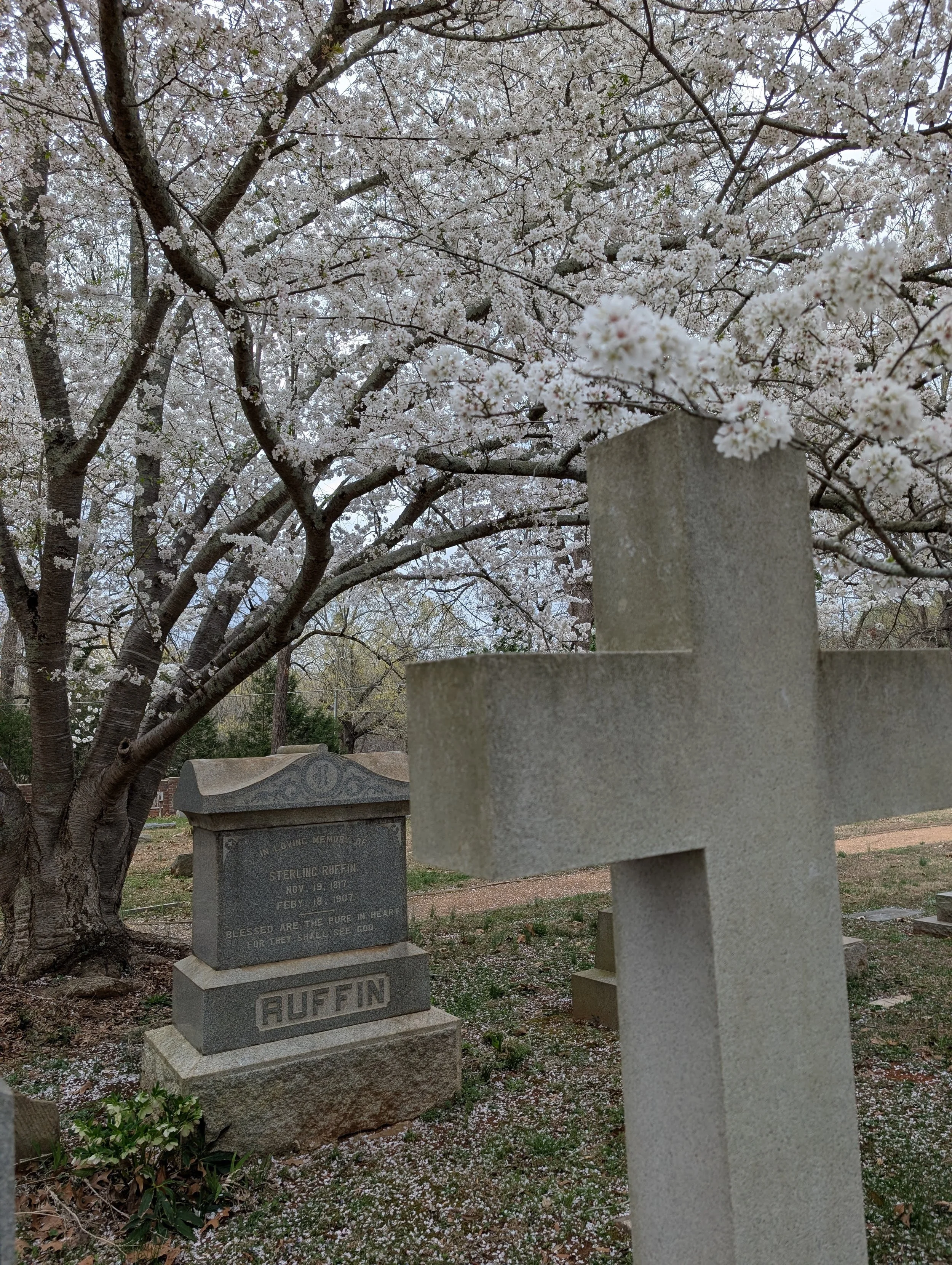 Village Church: Rogationtide