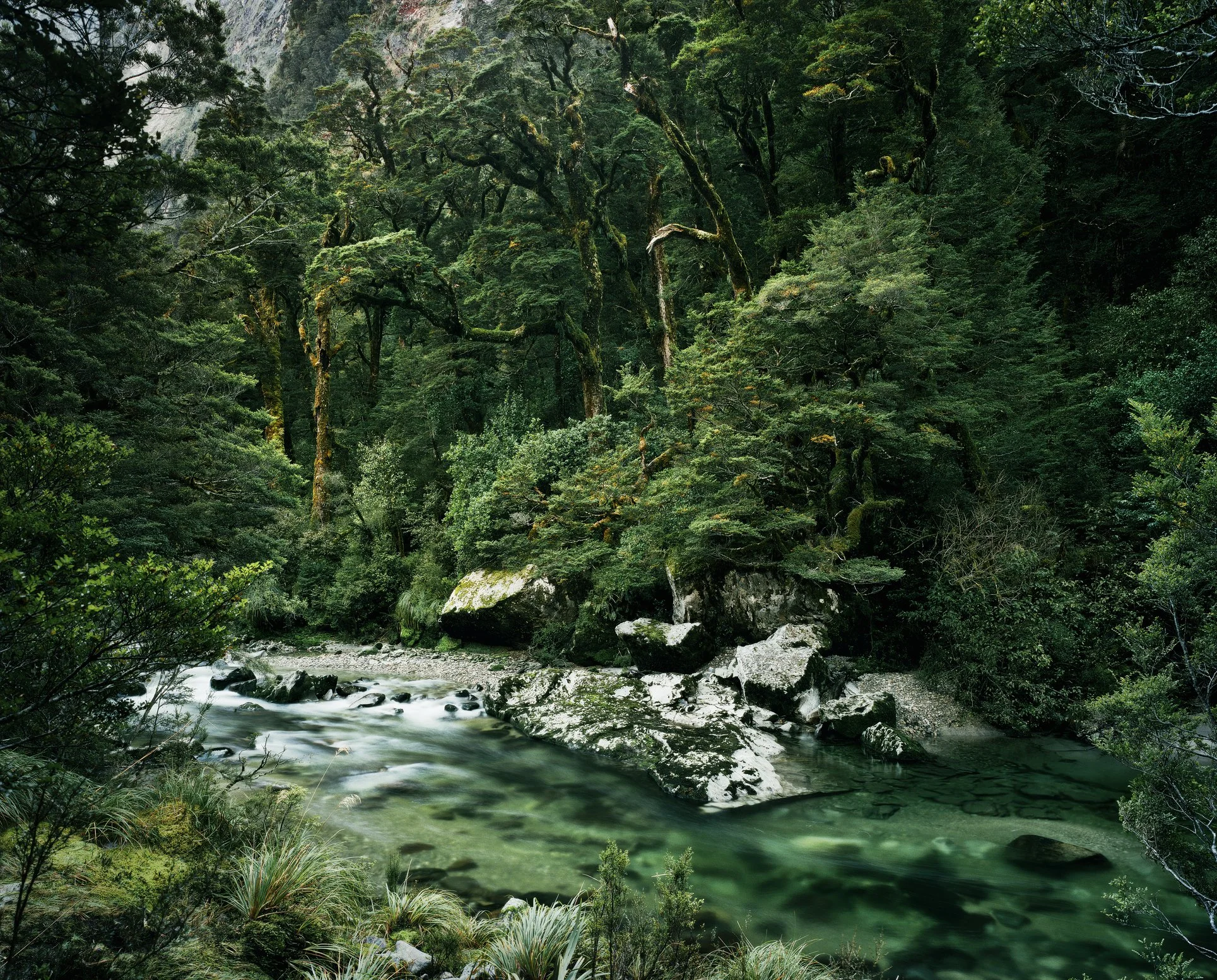 GettyImages-115999692.jpg