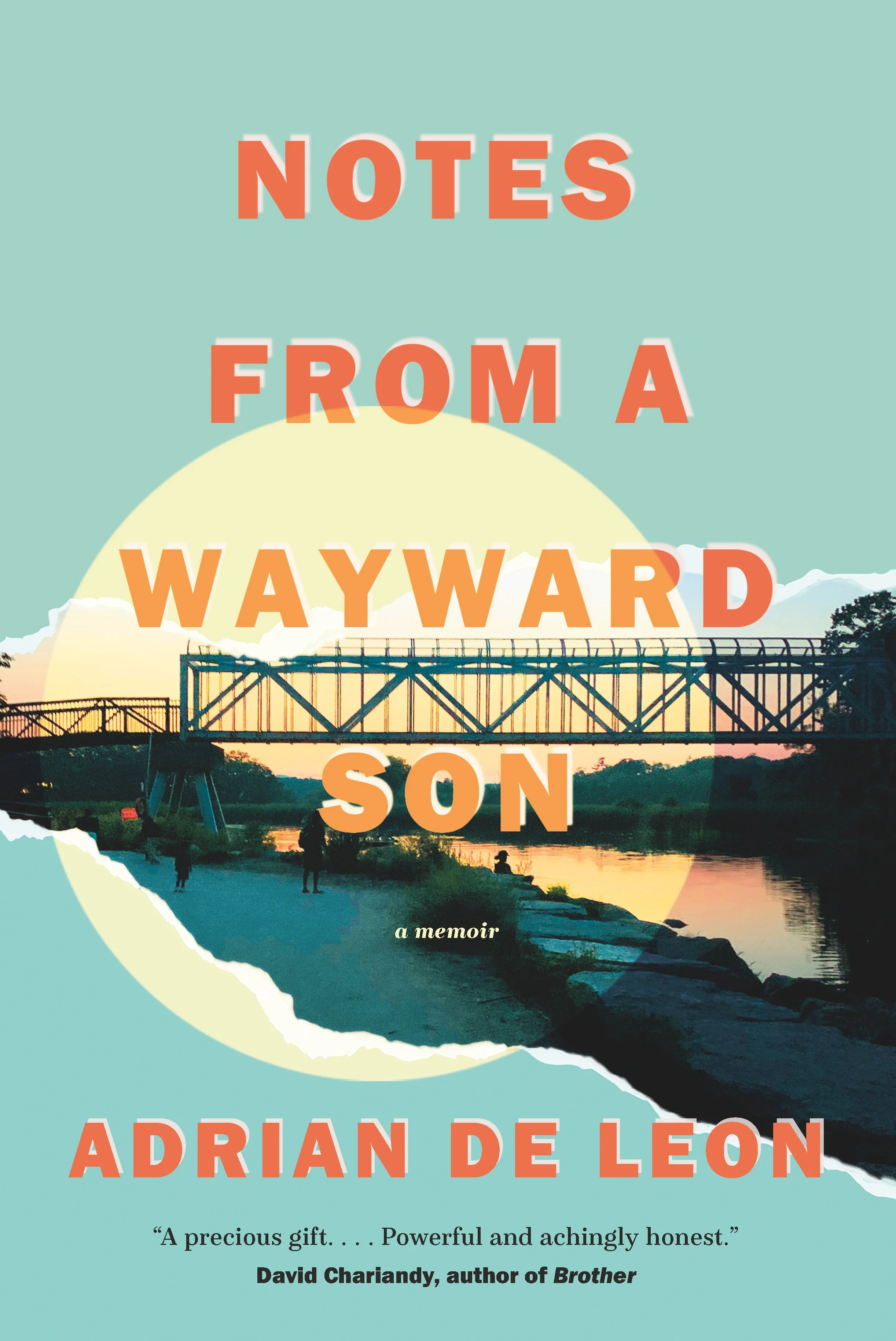 NOTES FROM A WAYWARD SON Book Cover.jpg