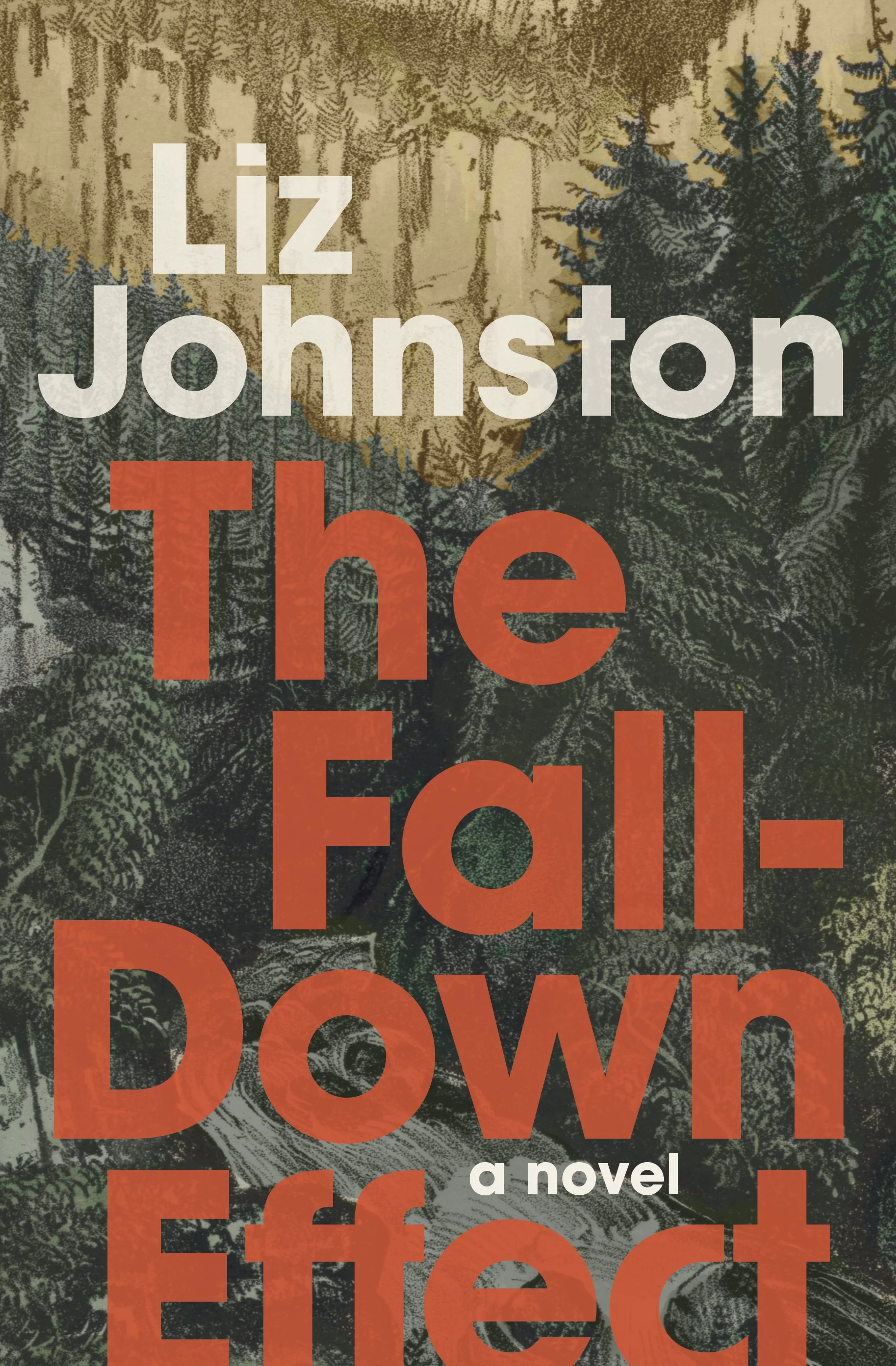 The Fall-Down Effect_Liz Johnston_cover.jpg